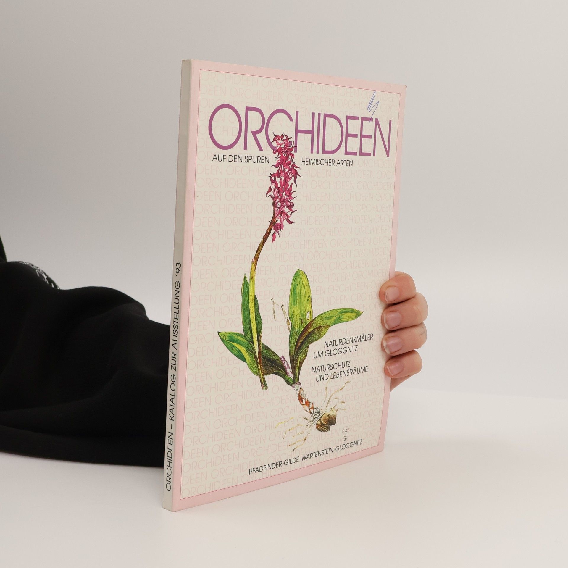 Heimischer Arten Orchideen auf den Spuren