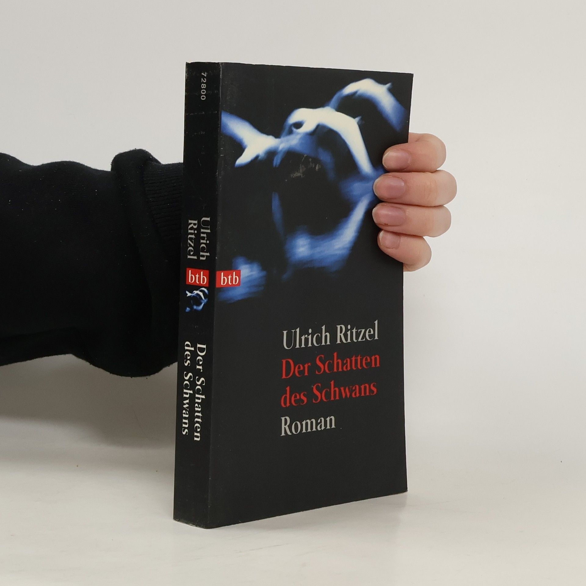 Ulrich Ritzel Der Schatten des Schwans