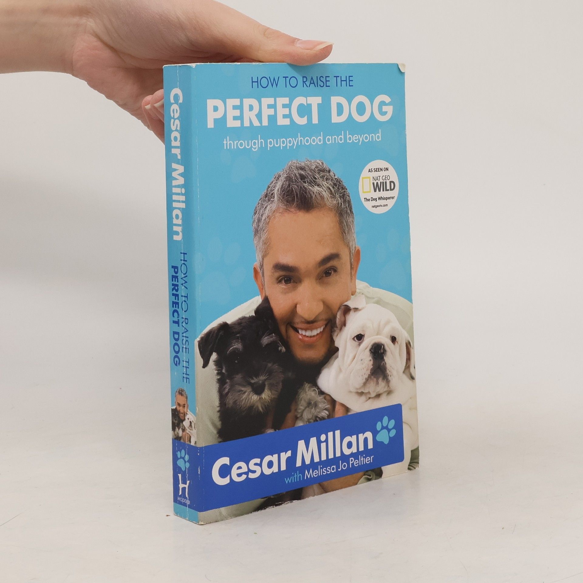 How to Raise the Perfect Dog