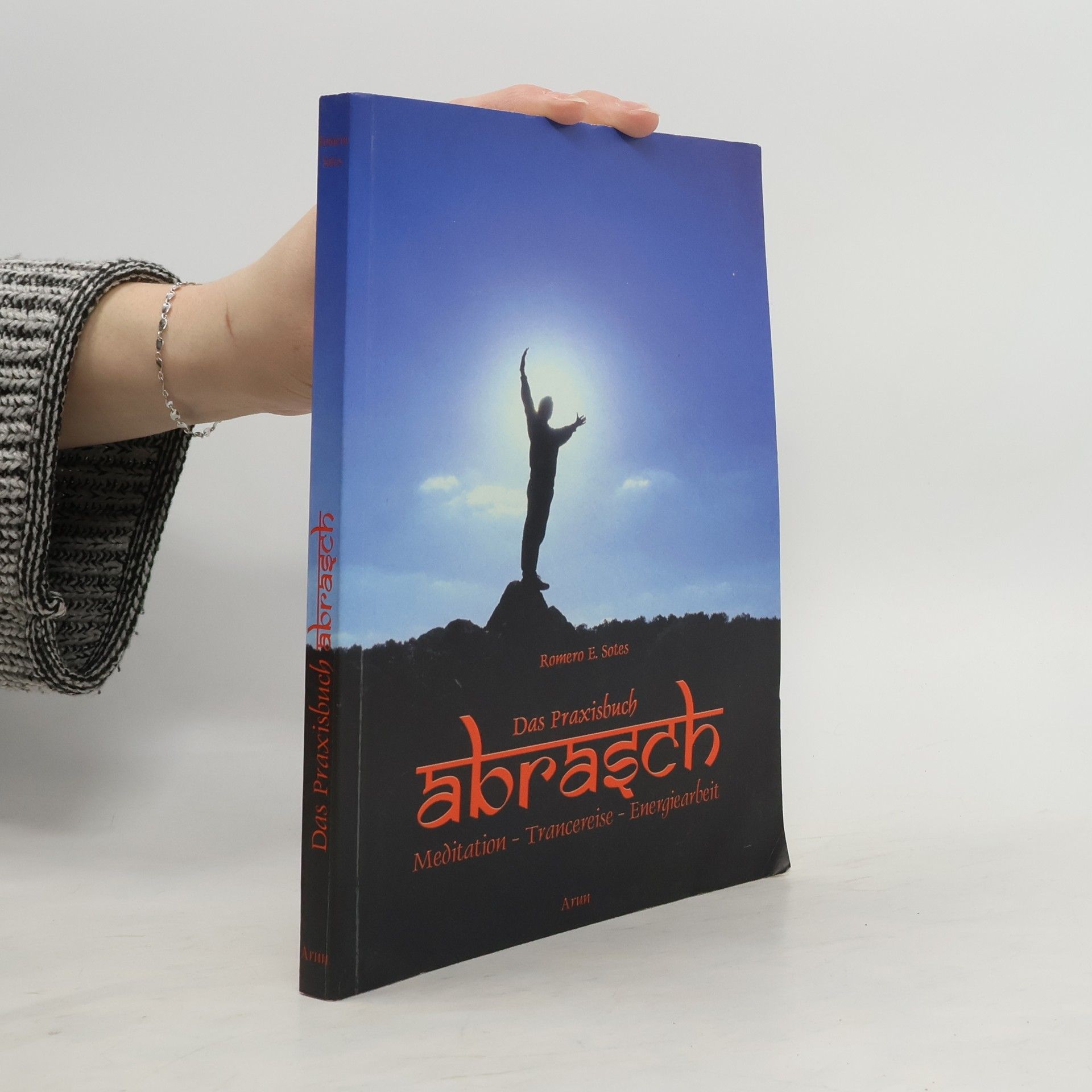 Romero E. Sotes Das Praxisbuch Abrasch