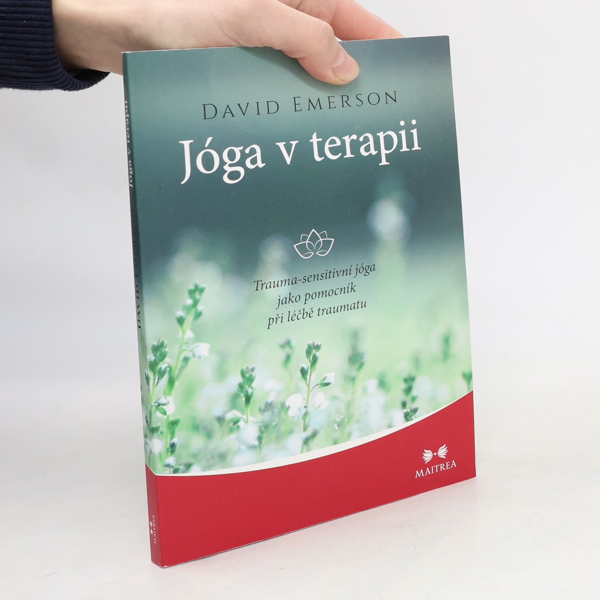 Jóga v terapii