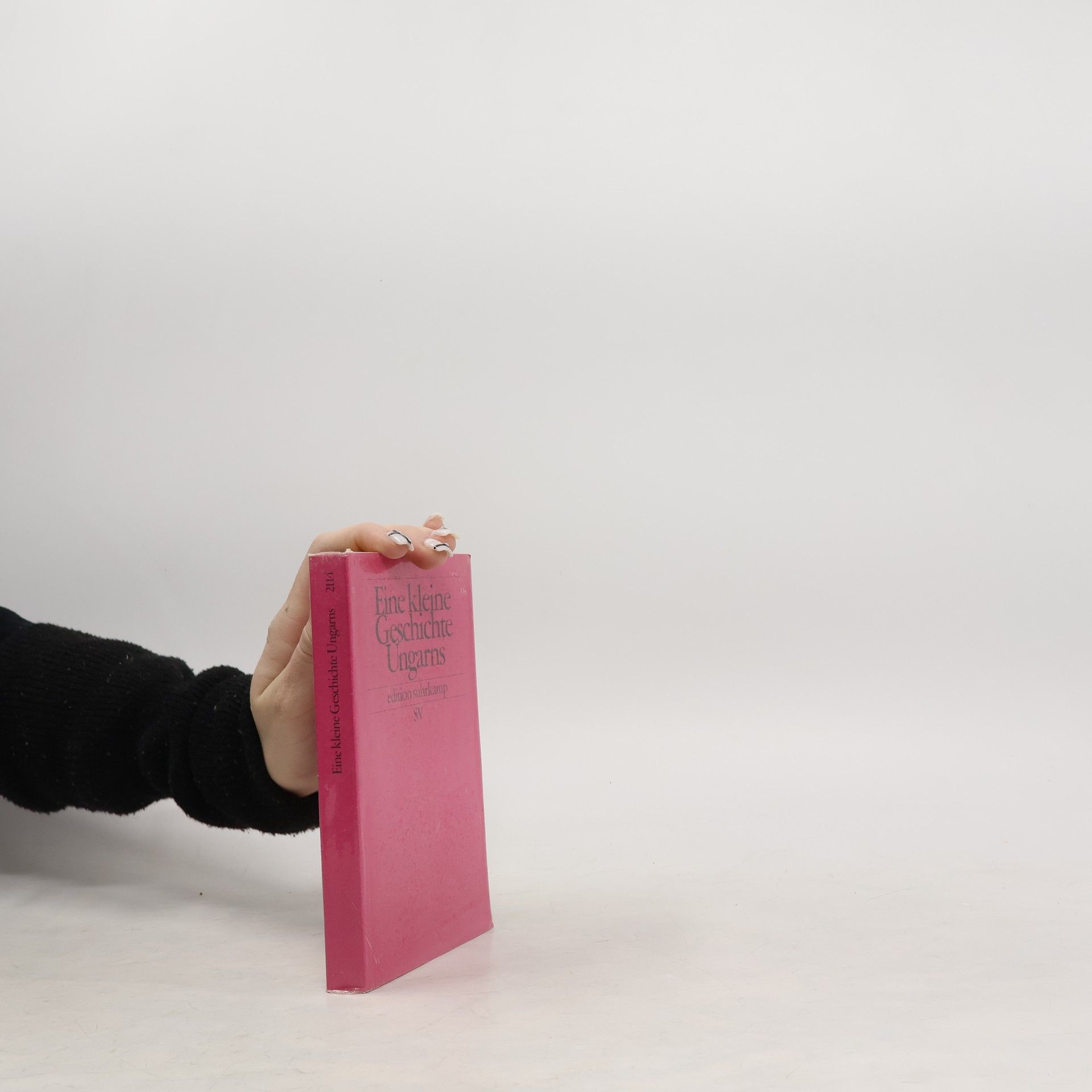 Holger Fischer Eine kleine Geschichte Ungarns