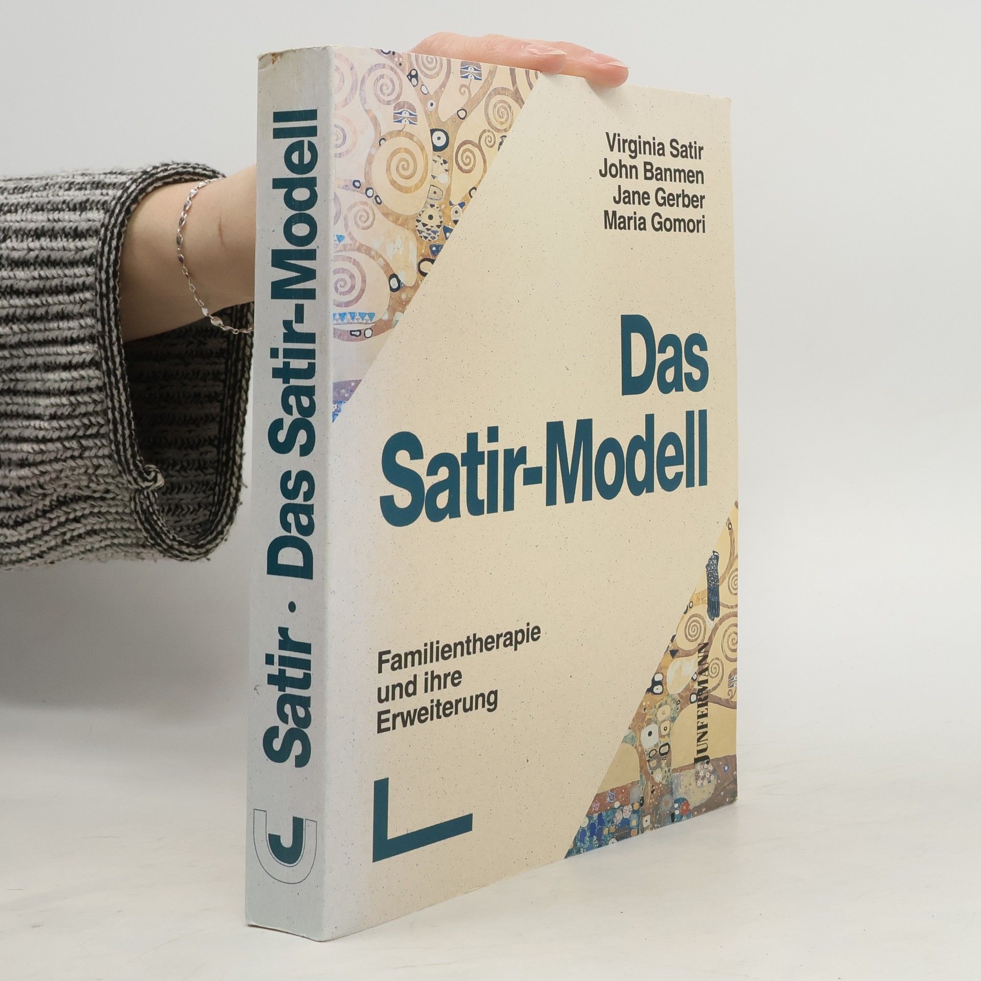 Virginia Satir Das Satir-Modell