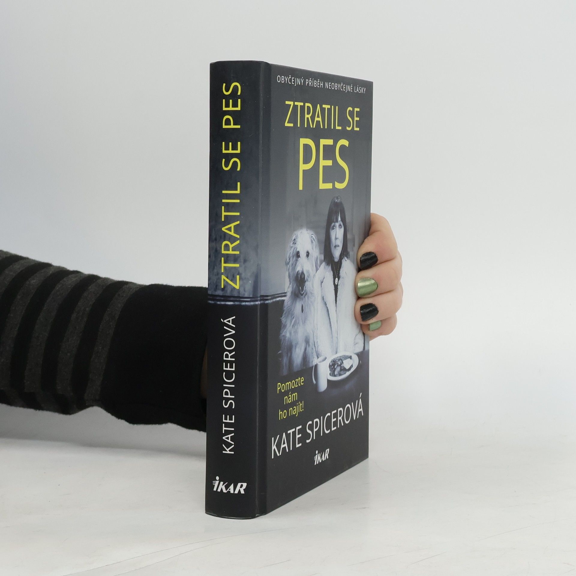 Kate Spicer Ztratil se pes