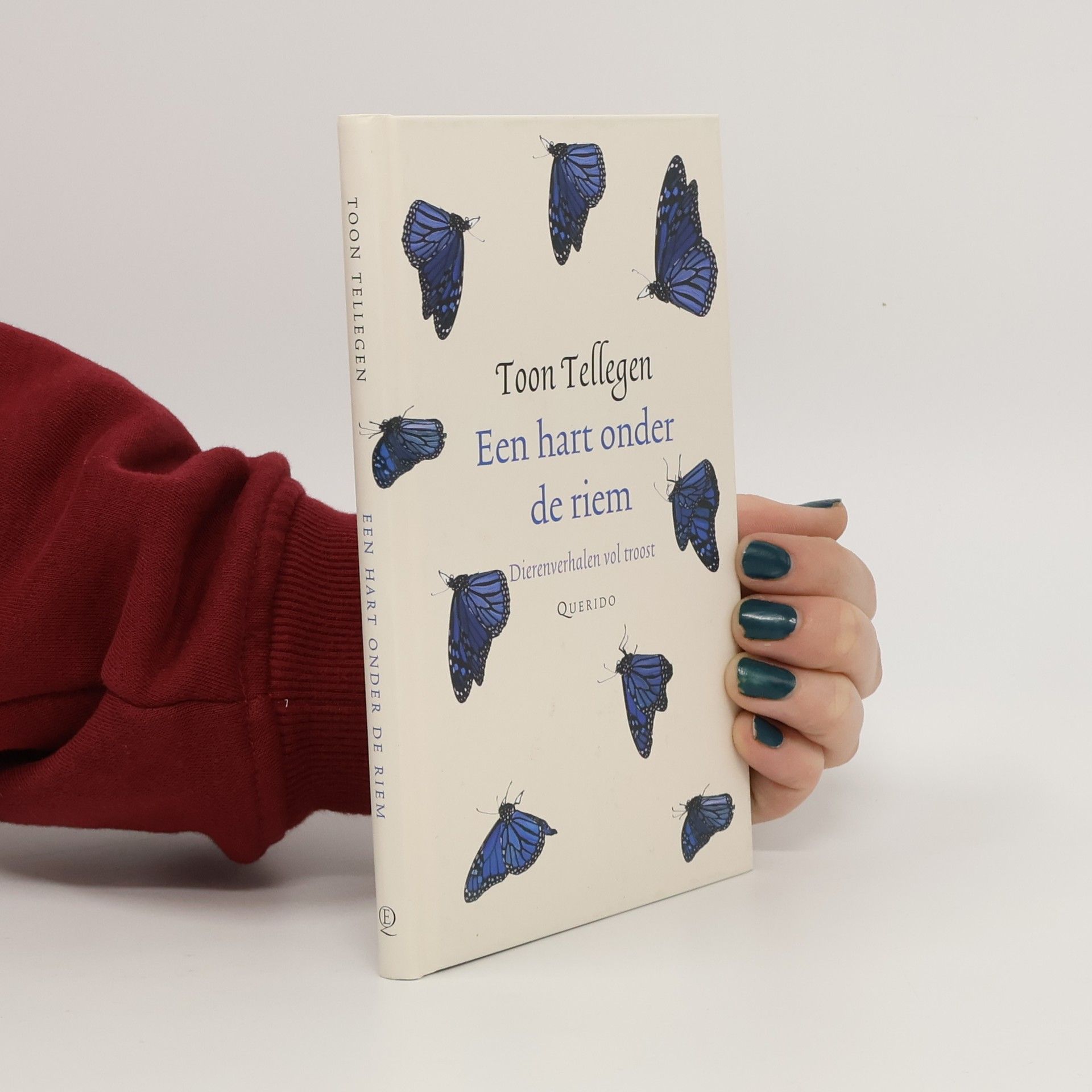 Toon Tellegen Een hart onder de riem