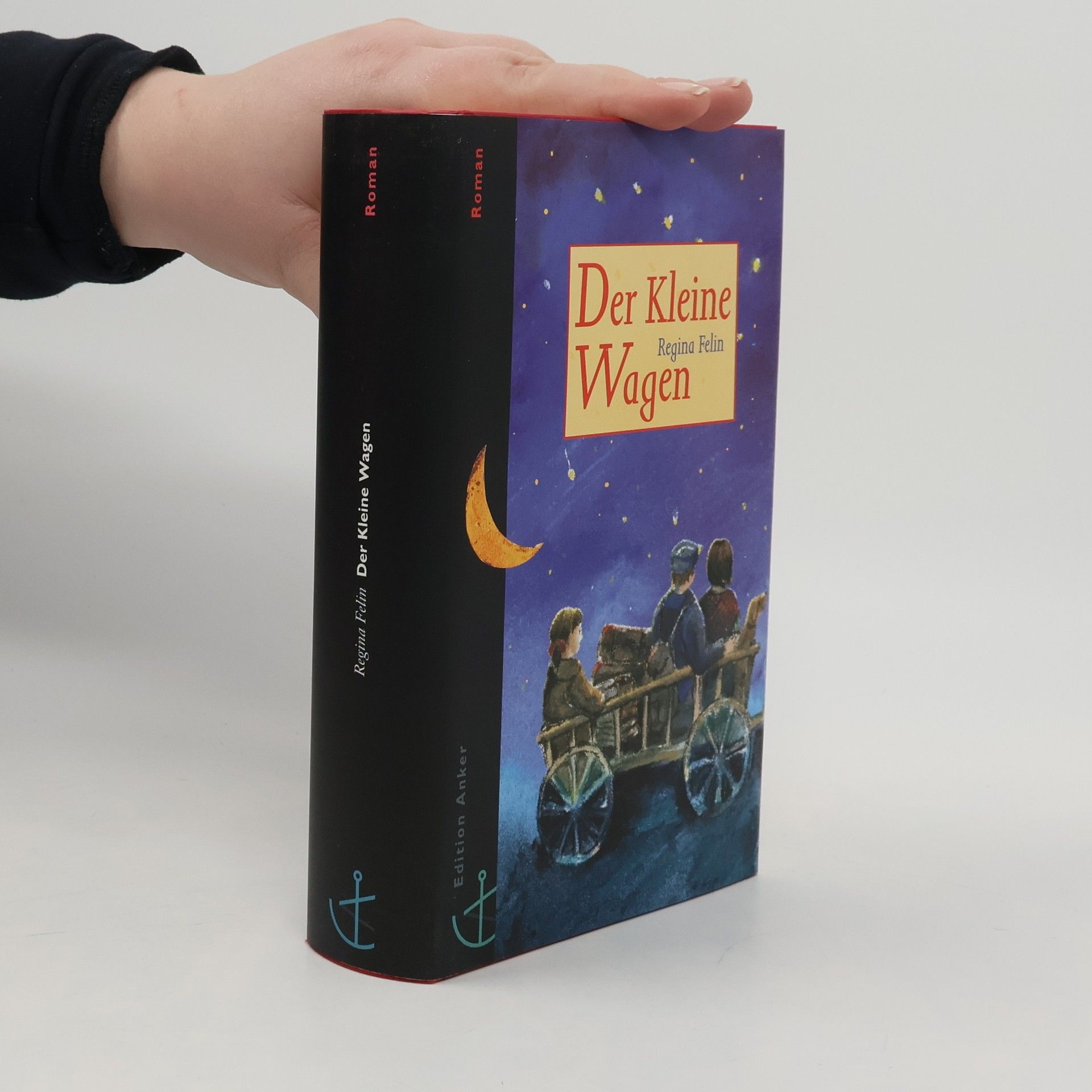 Regina Felin Der Kleine Wagen