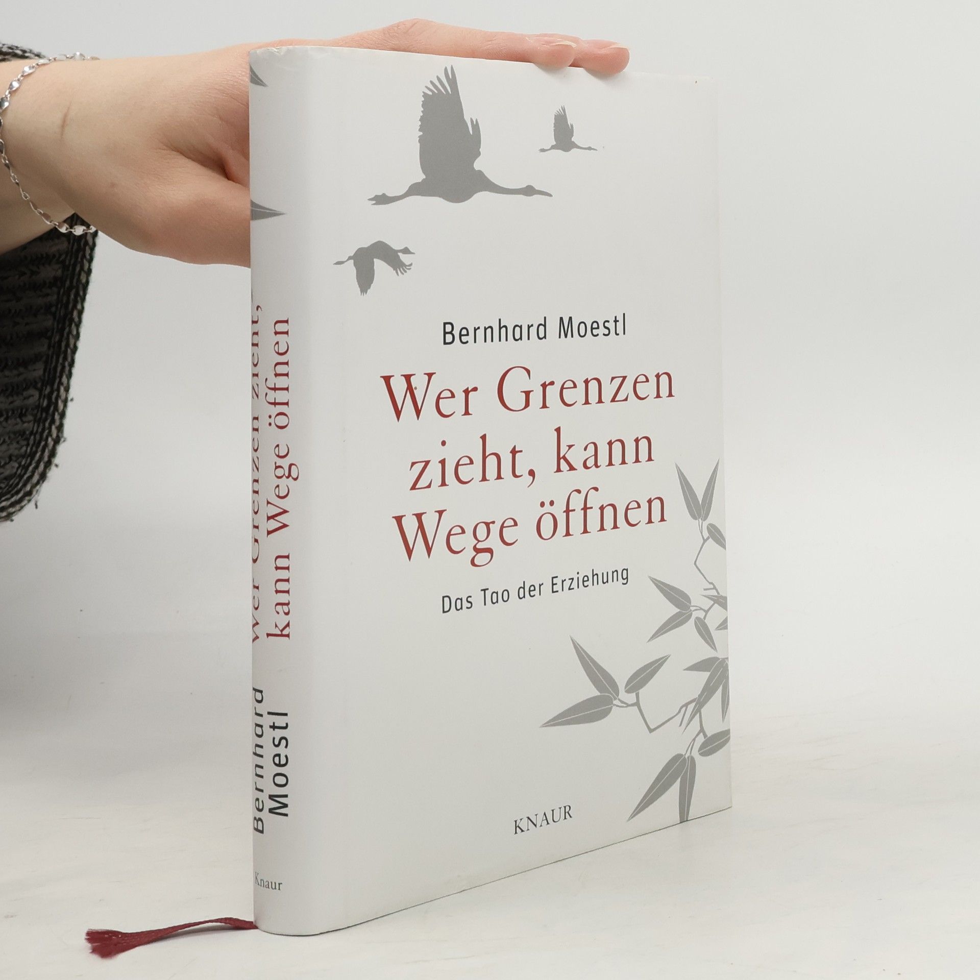Bernhard Moestl Wer Grenzen zieht, kann Wege öffnen