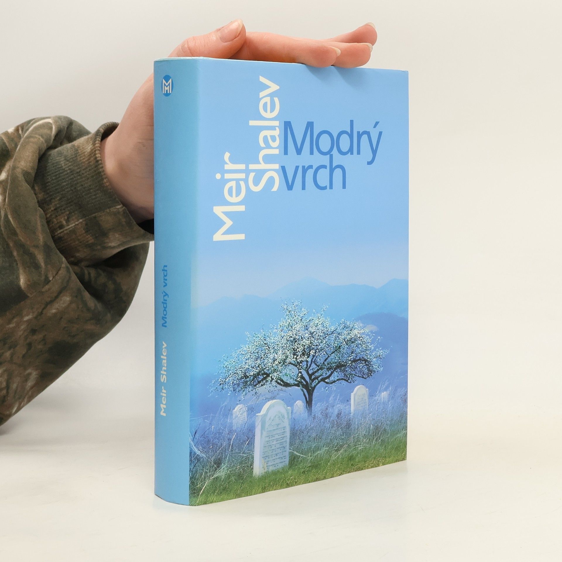 Meir Šalev Modrý vrch
