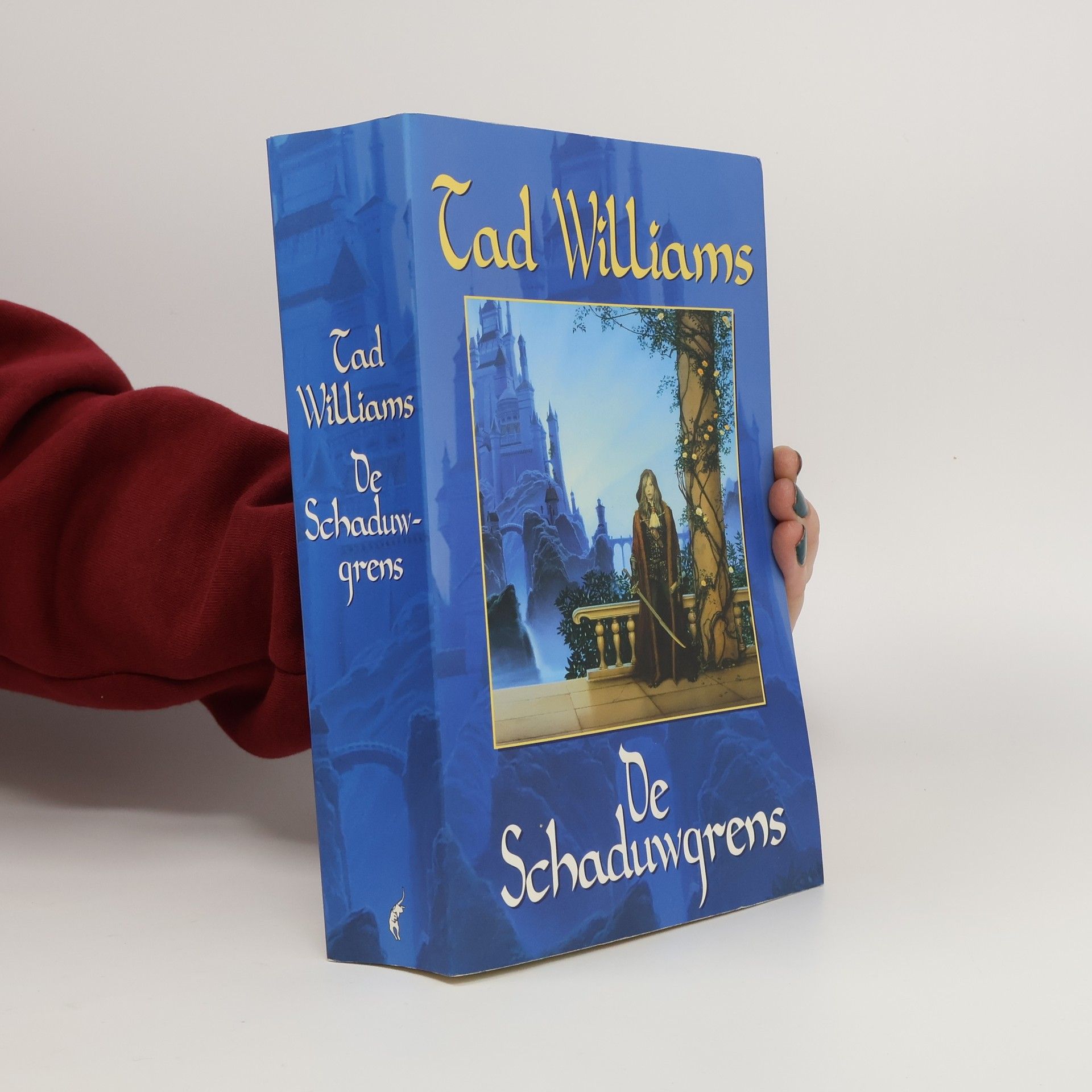 Tad Williams Schaduwwereld - 1: De Schaduwgrens