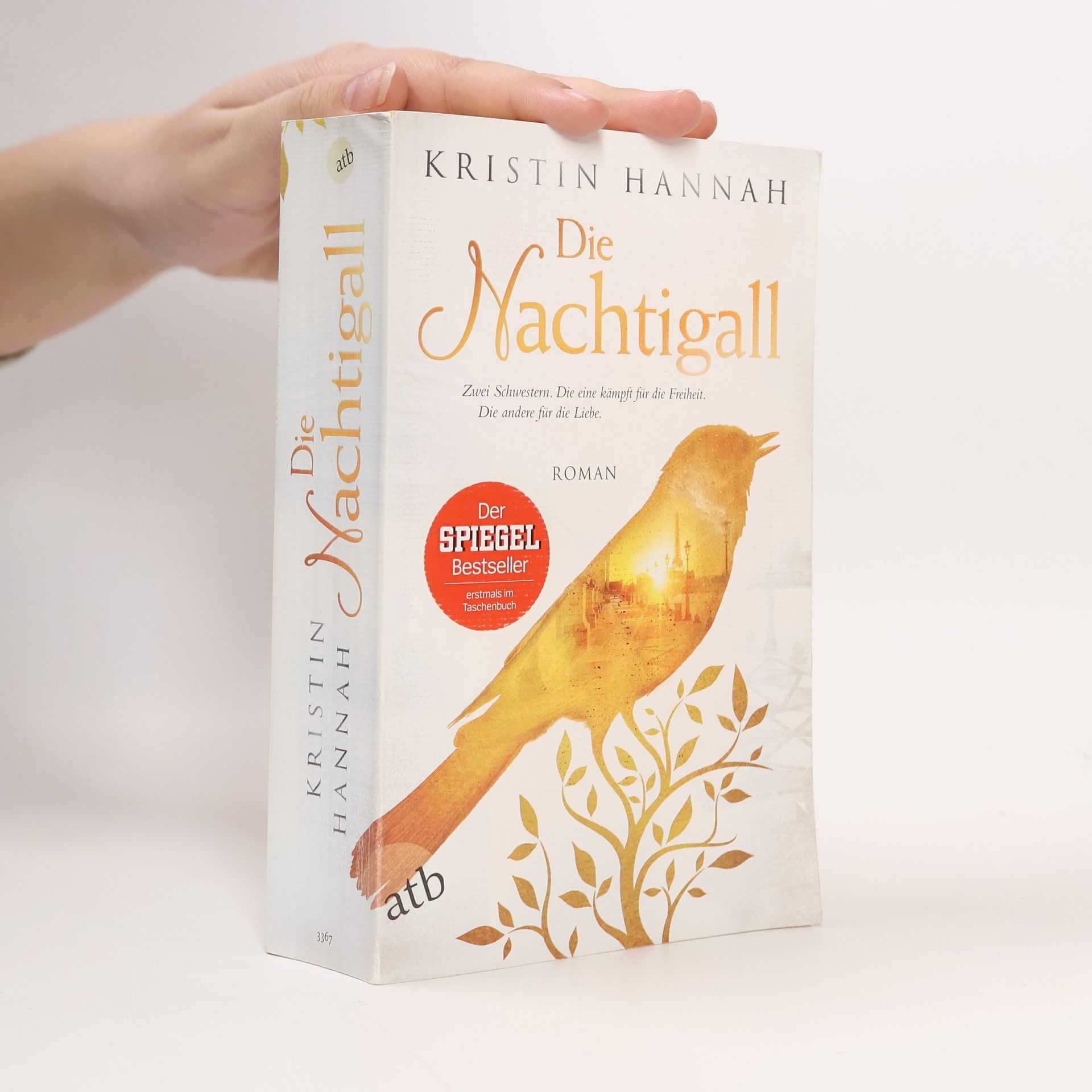 Kristin Hannah Die Nachtigall