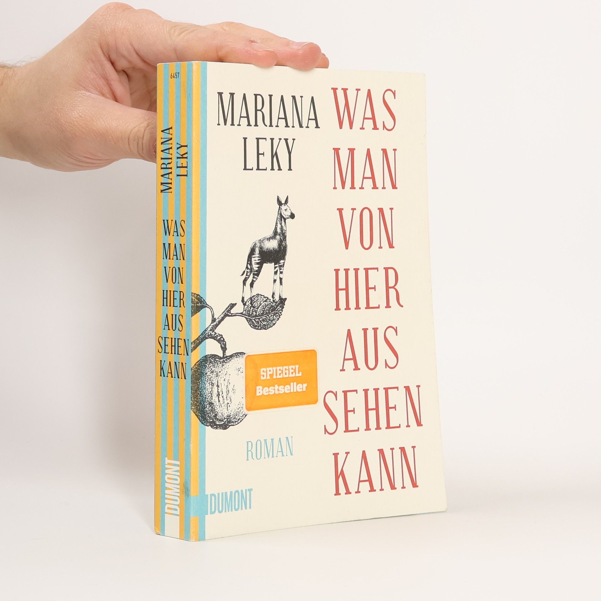 Mariana Leky Was man von hier aus sehen kann