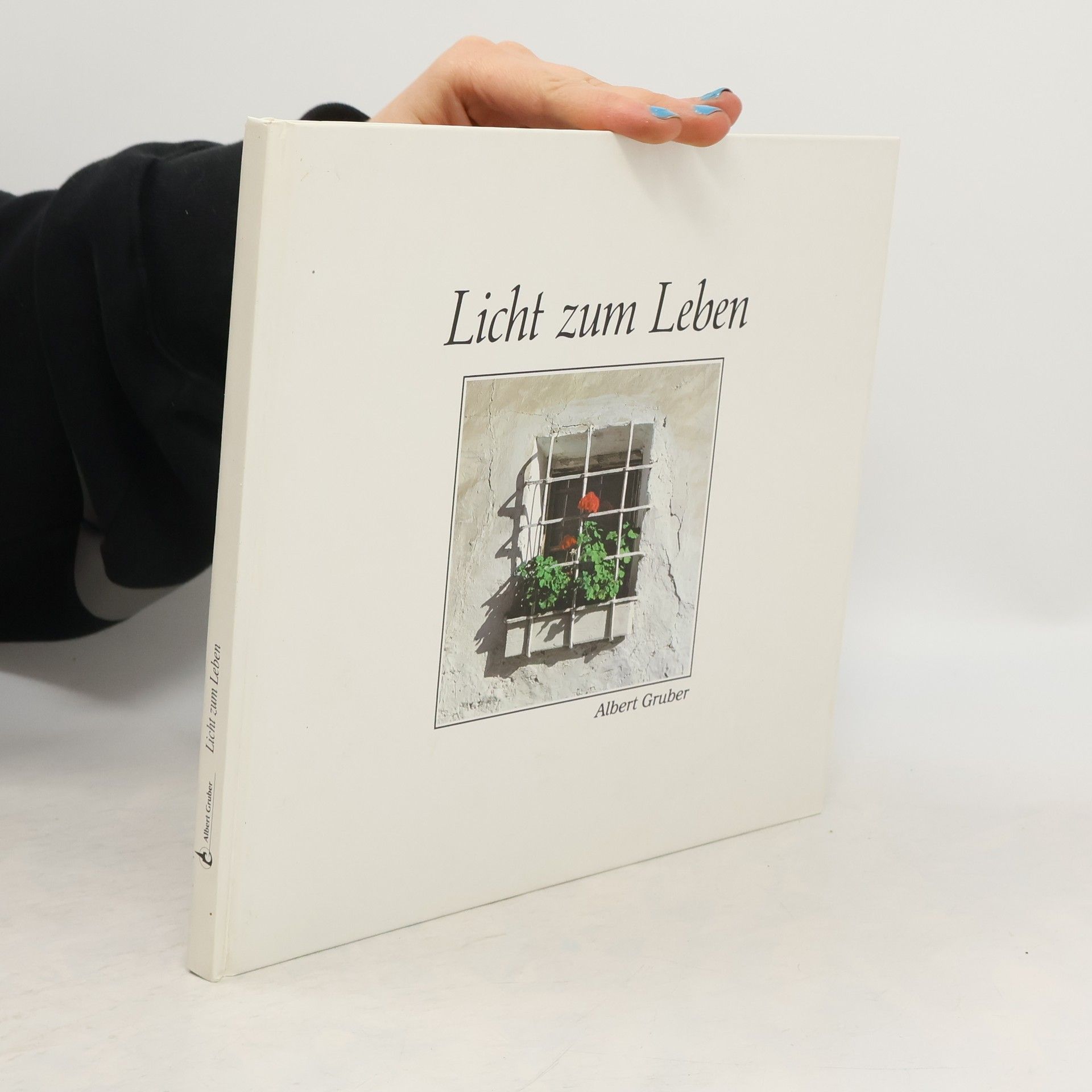 Albert Gruber Licht zum Leben