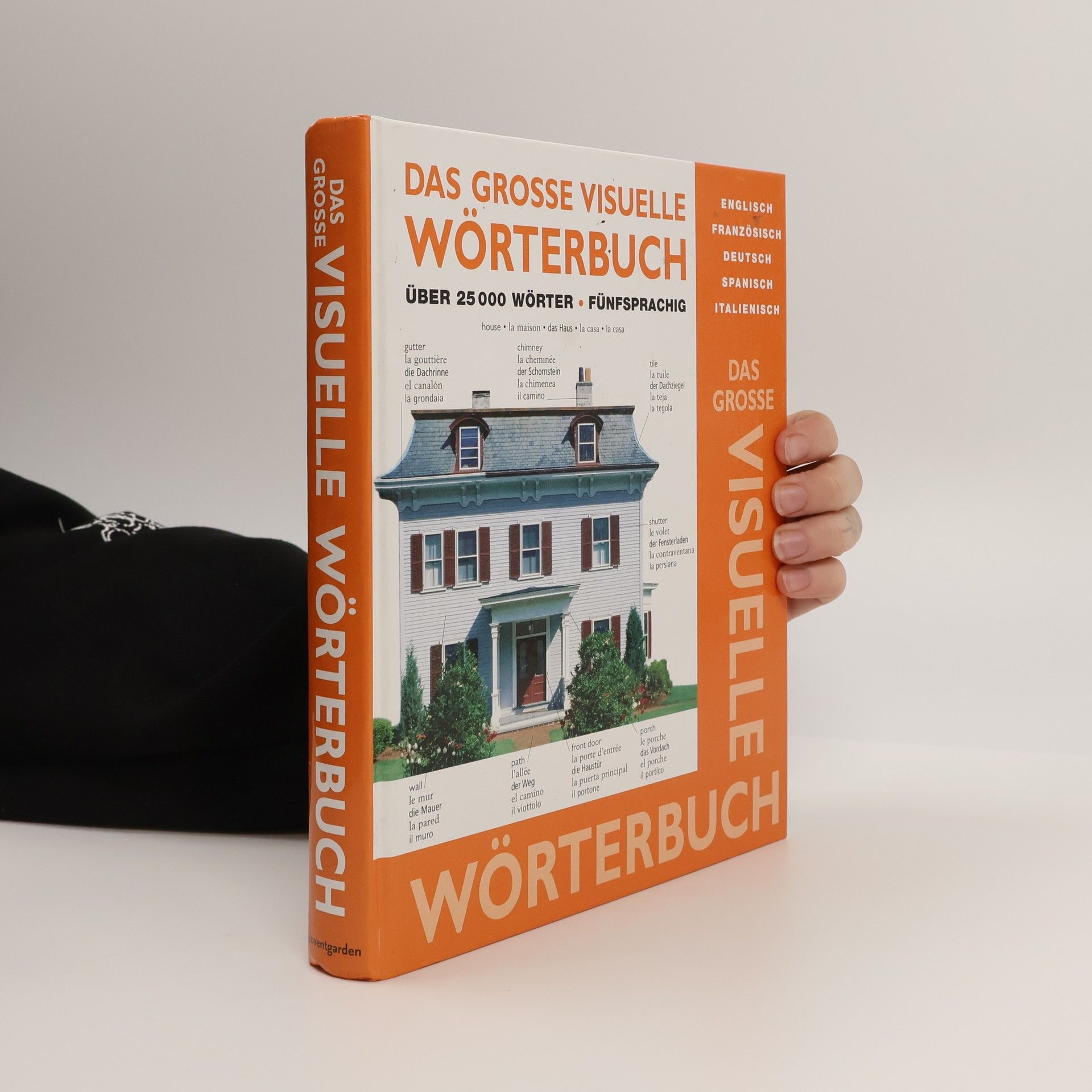 Angeles Gavira Das grosse visuelle Wörterbuch