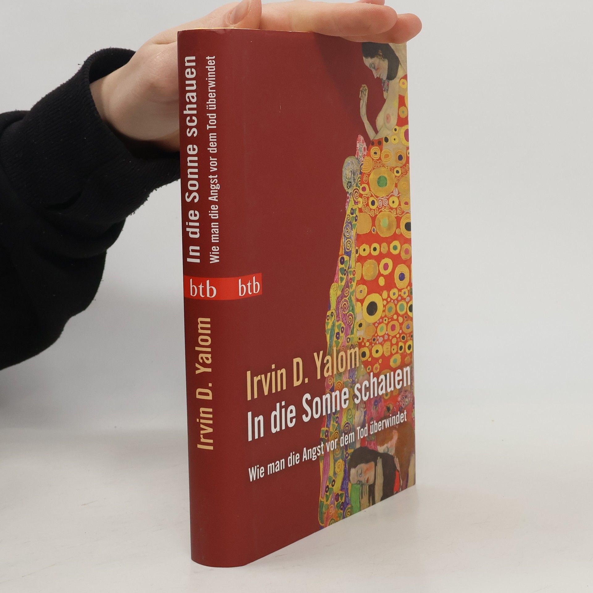 Irvin Yalom In die Sonne schauen