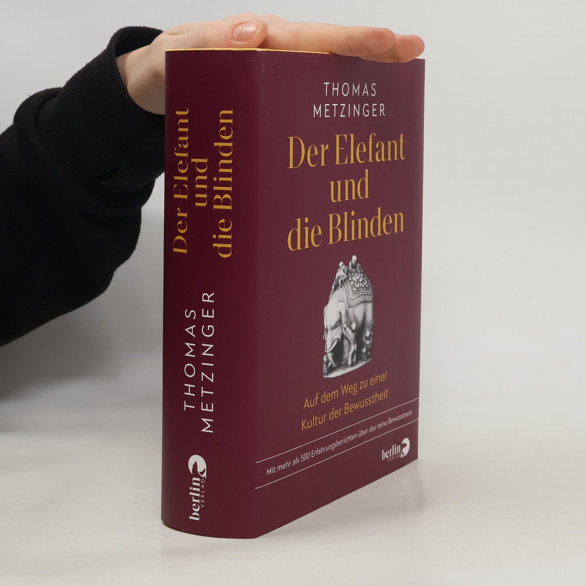 Der Elefant und die Blinden