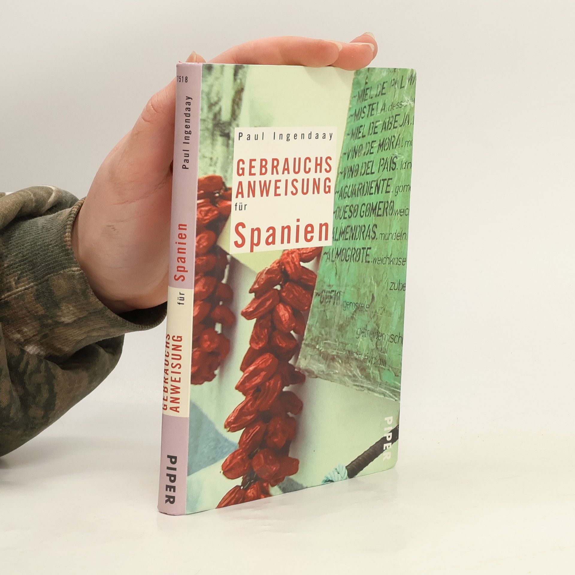 Paul Ingendaay Gebrauchsanweisung für Spanien
