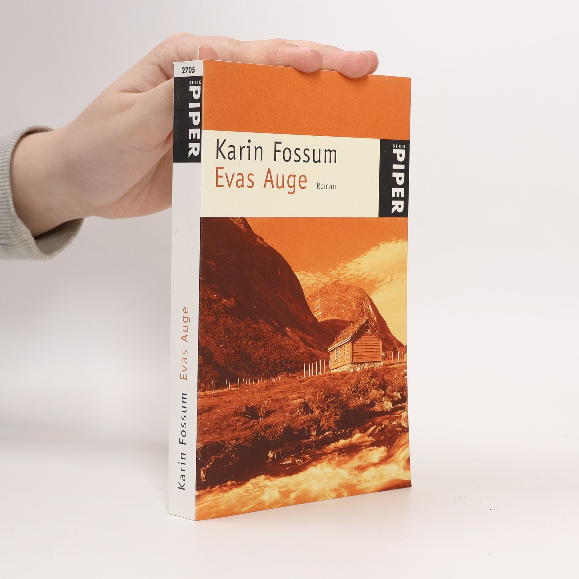 Karin Fossum Evas Auge