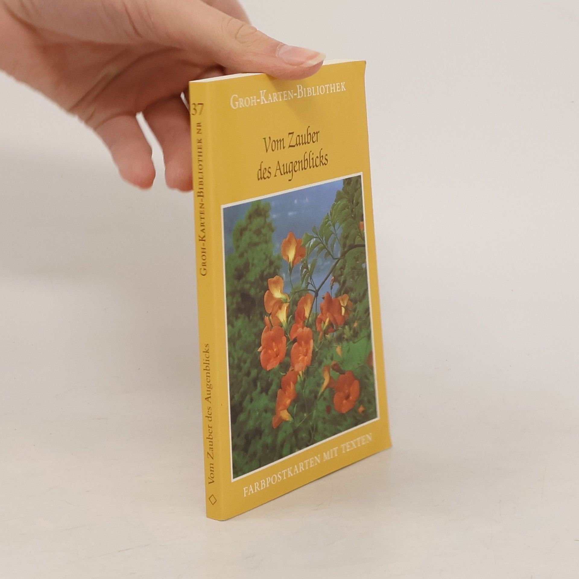 Gerda Ludwig Groh-Karten-Bibliothek - 37: Vom Zauber des Augenblicks