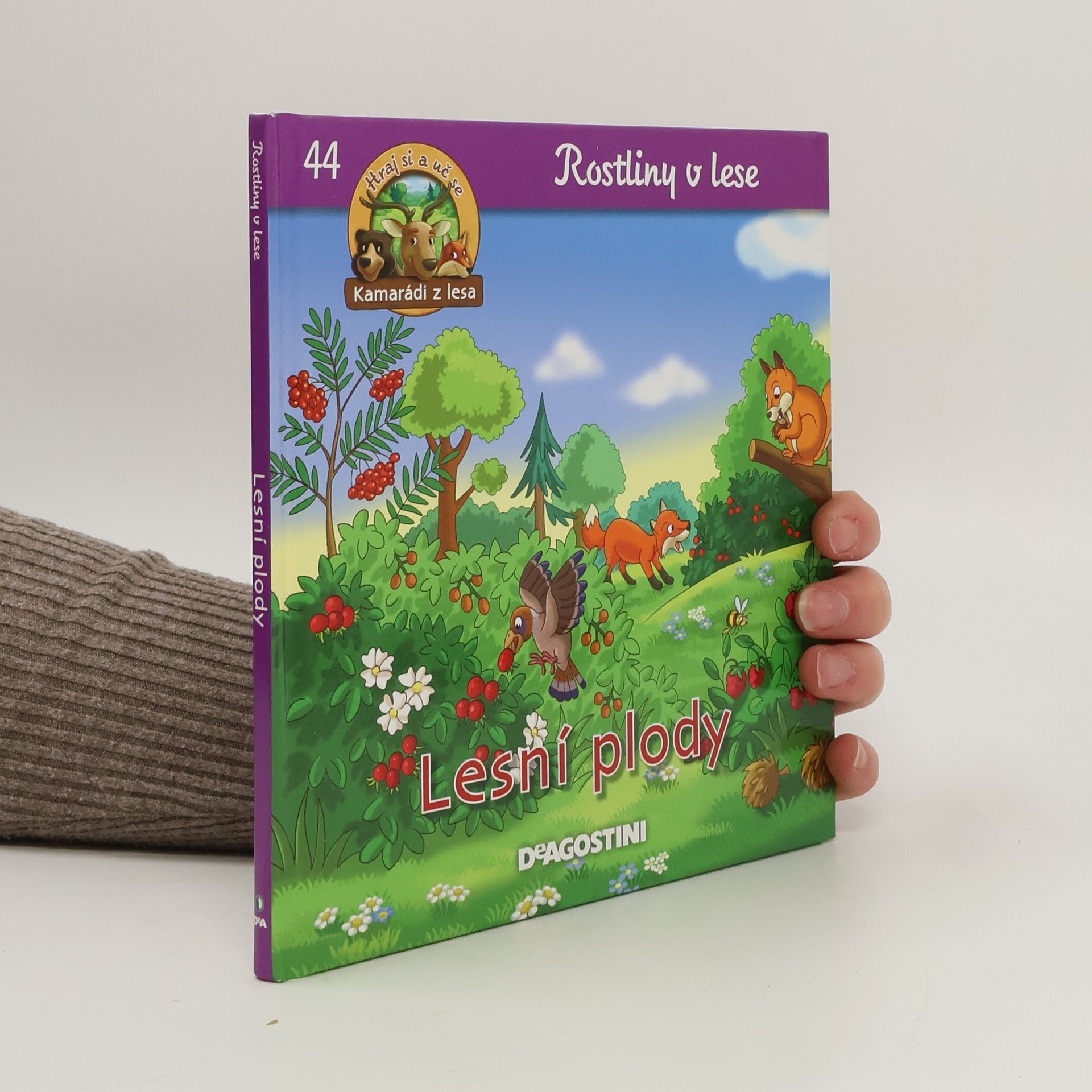Rostliny v lese 44. Lesní plody