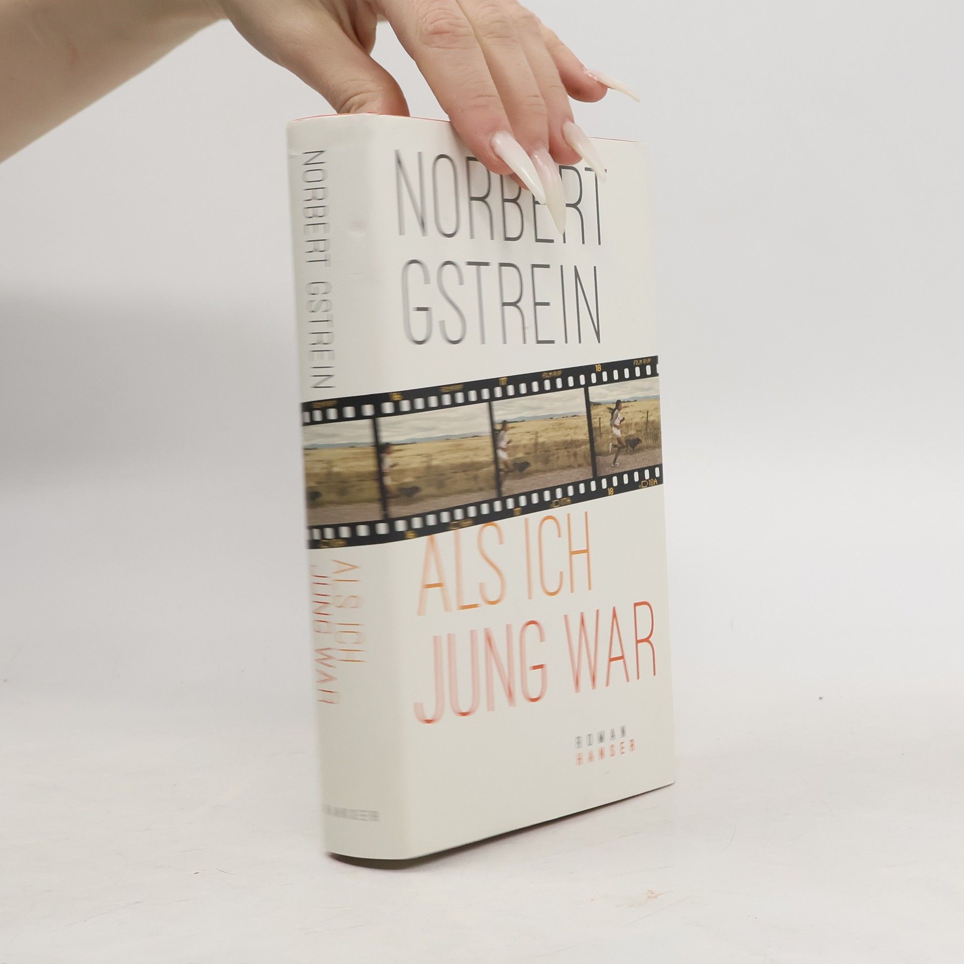 Norbert Gstrein Als ich jung war