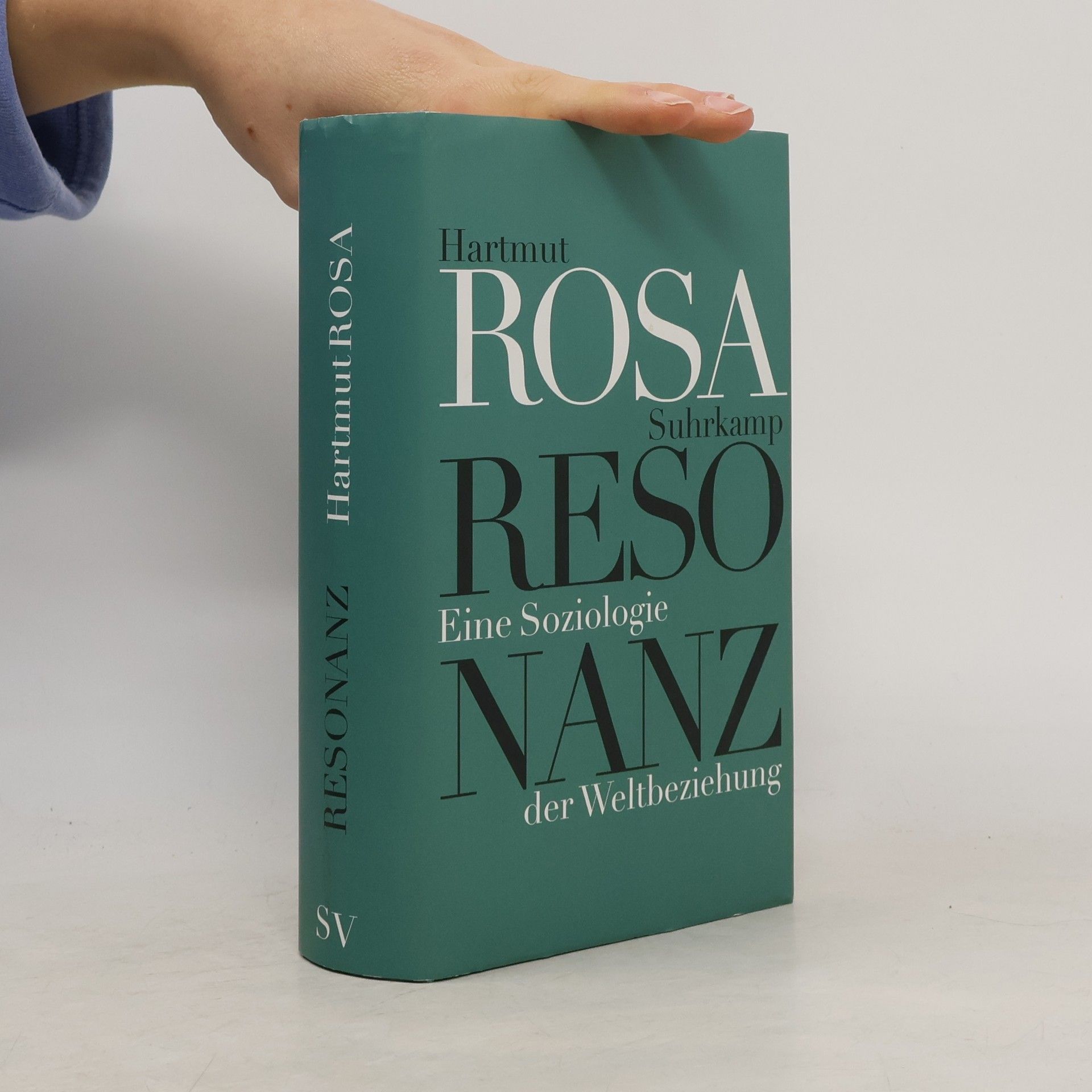 Hartmut Rosa Resonanz