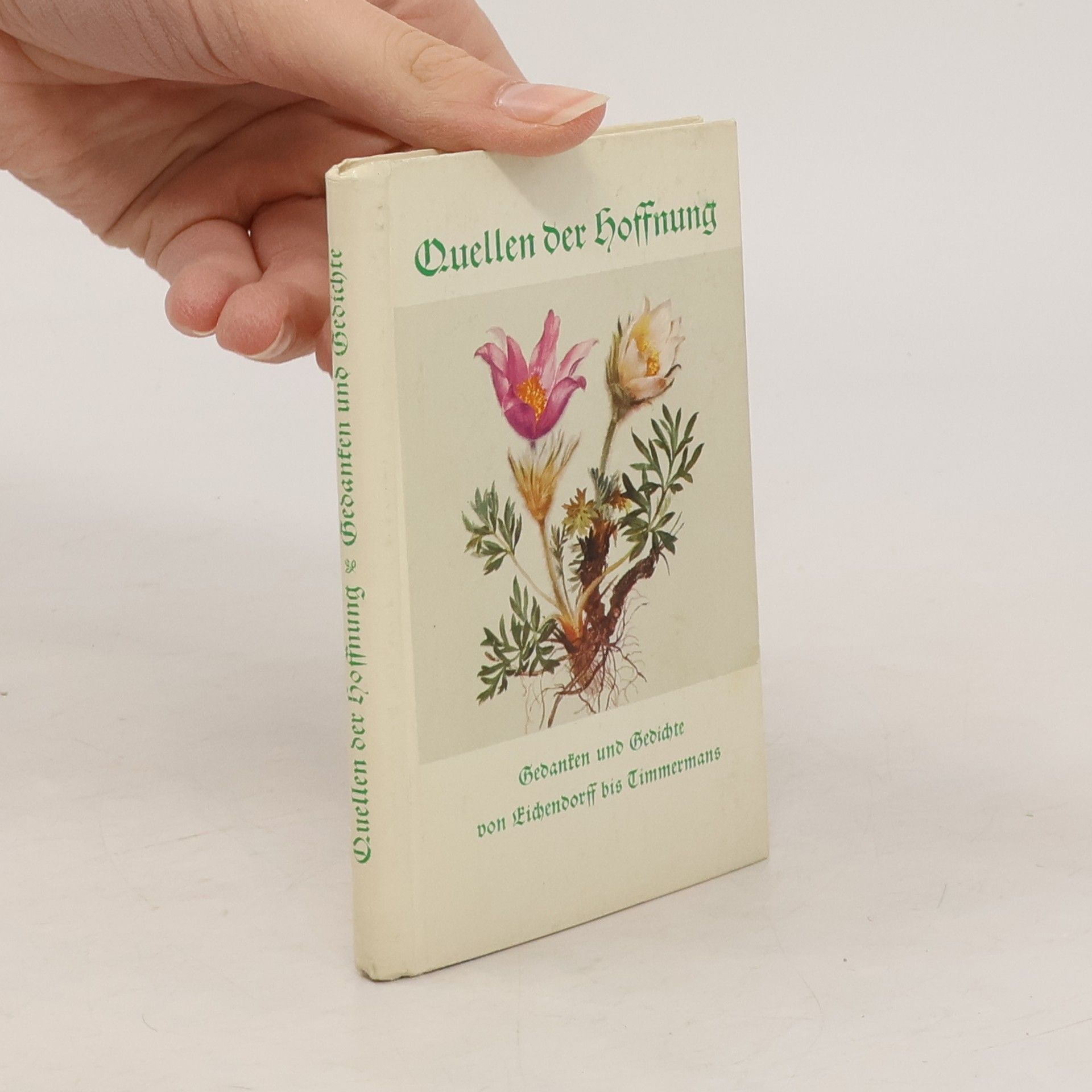 Clemens Brentano Quellen der Hoffnung: Gedanken und Gedichte von Eichendorff bis Timmermans