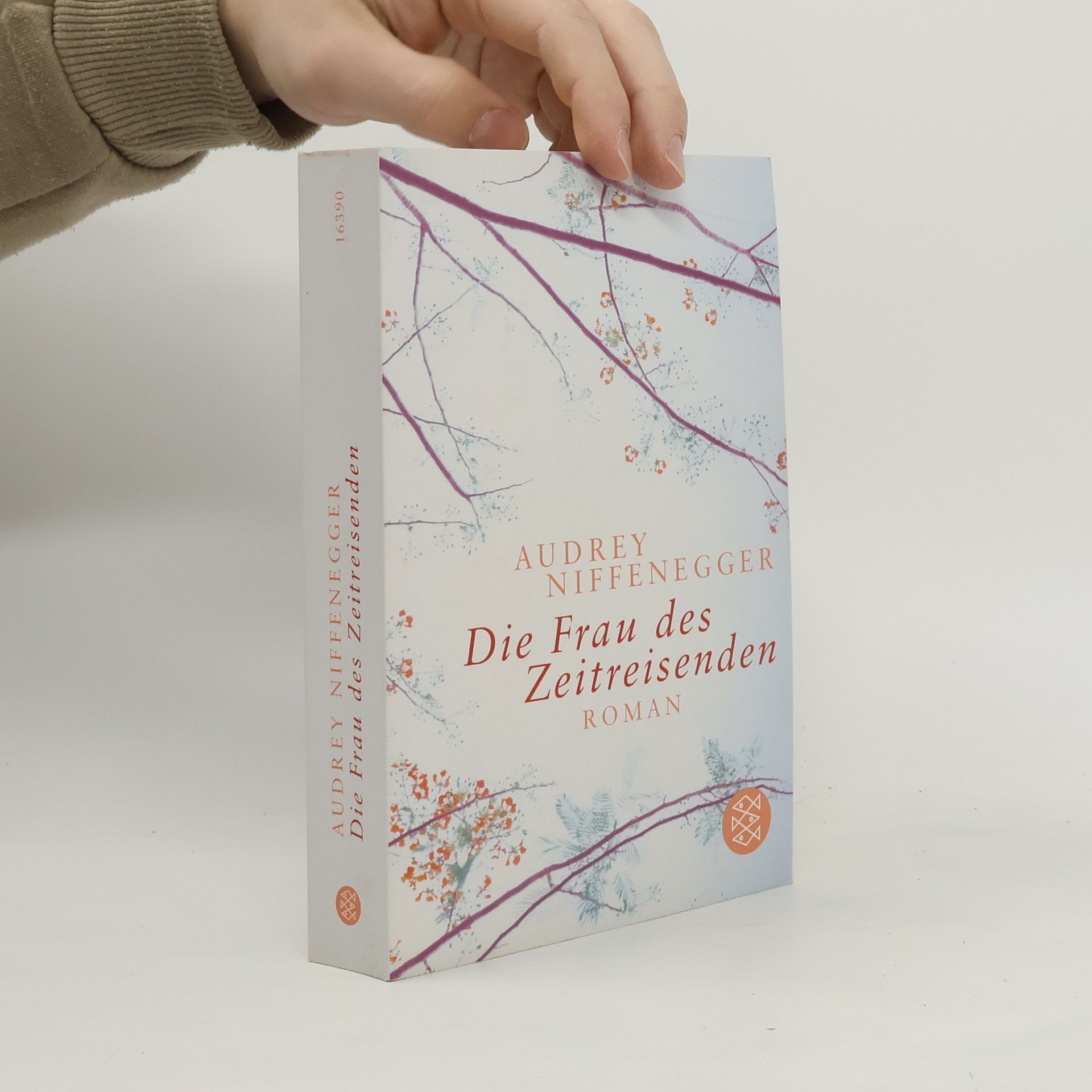 Audrey Niffenegger Die Frau des Zeitreisenden