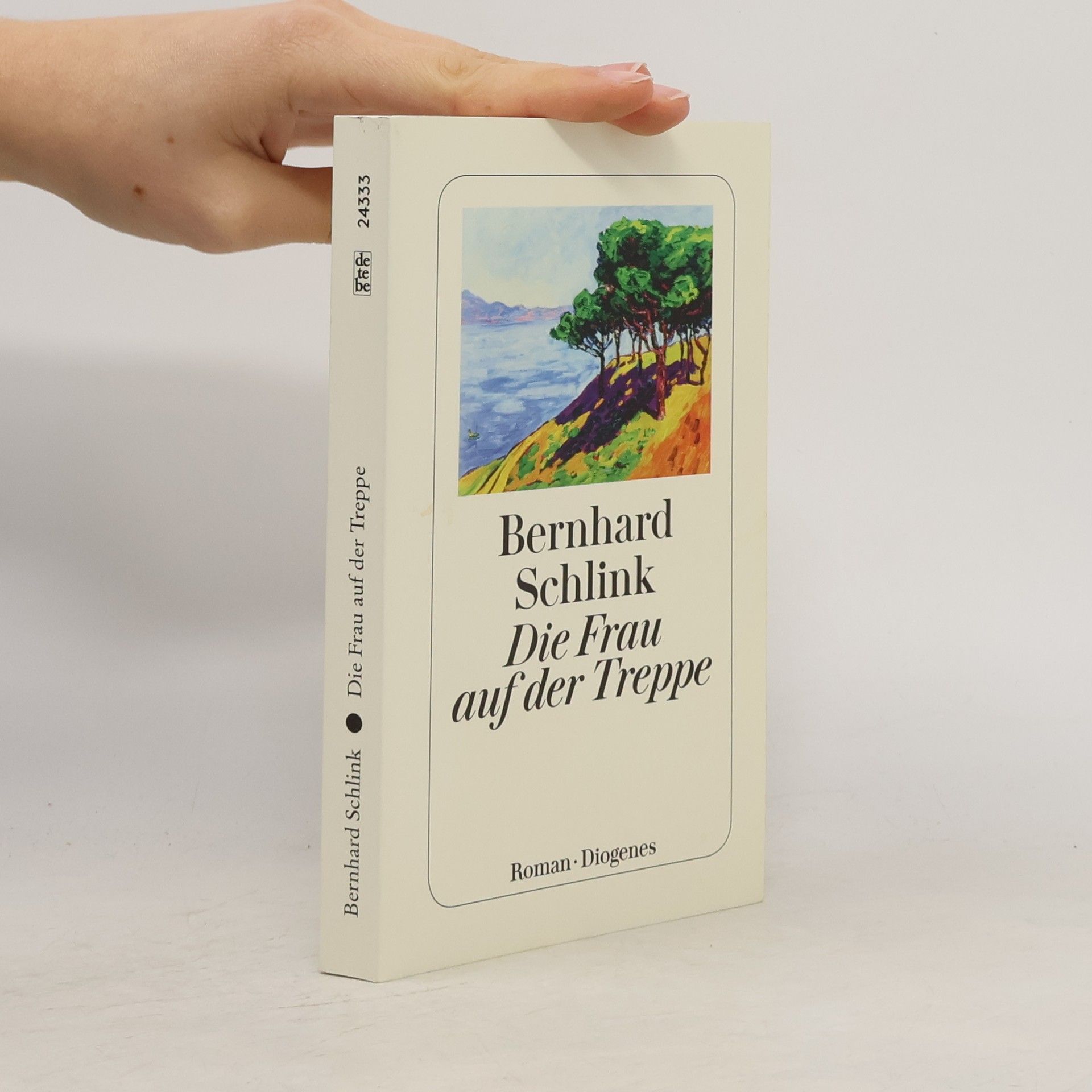 Bernhard Schlink Die Frau auf der Treppe