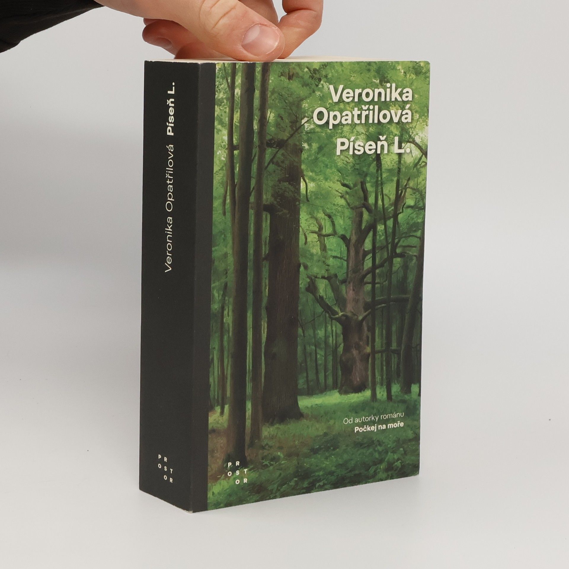 Veronika Opatřilová Píseň L.