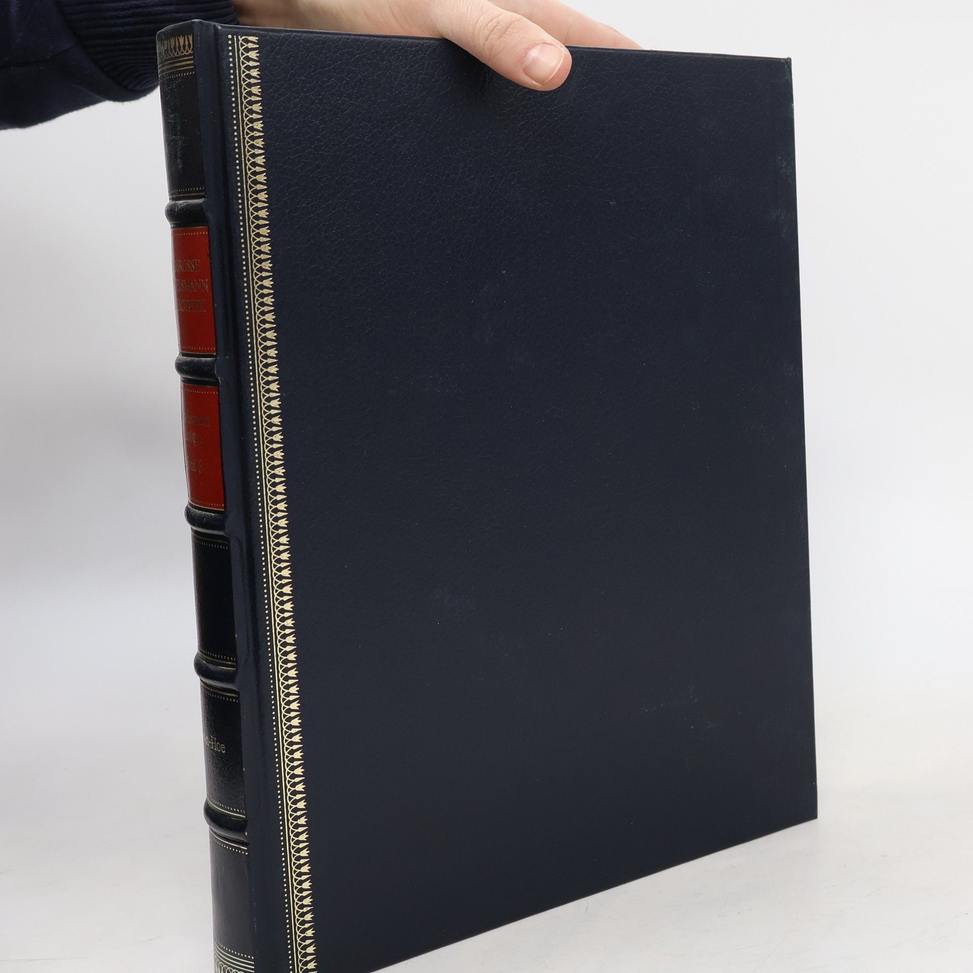 Auteurscollectief Die grosse Bertelsmann Lexikothek. Ghan-Hoe, Bd. 6