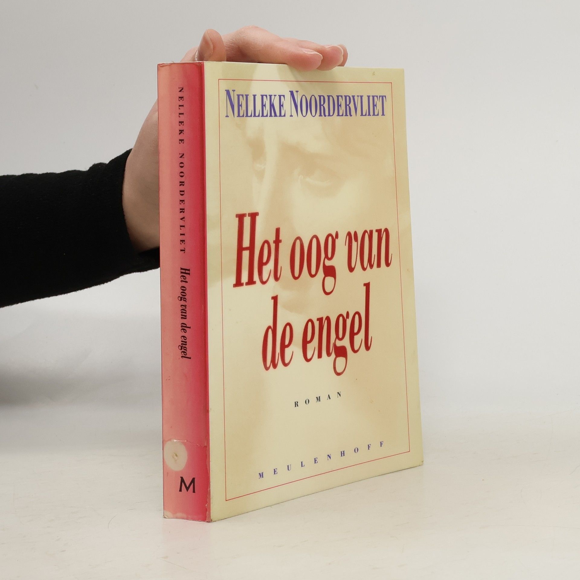 Nelleke Noordervliet Het oog van de engel
