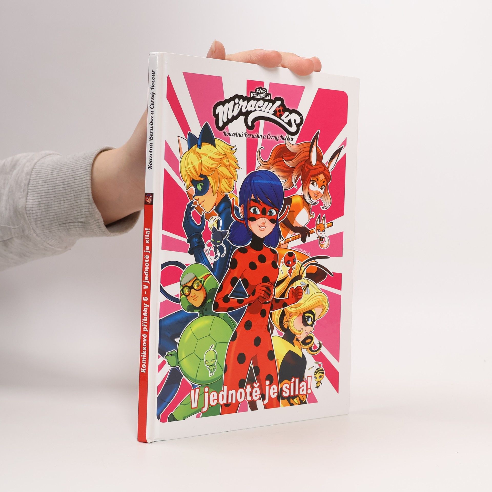 Tereza Siglová Kouzelná Beruška a Černý Kocour. V jednotě je síla!