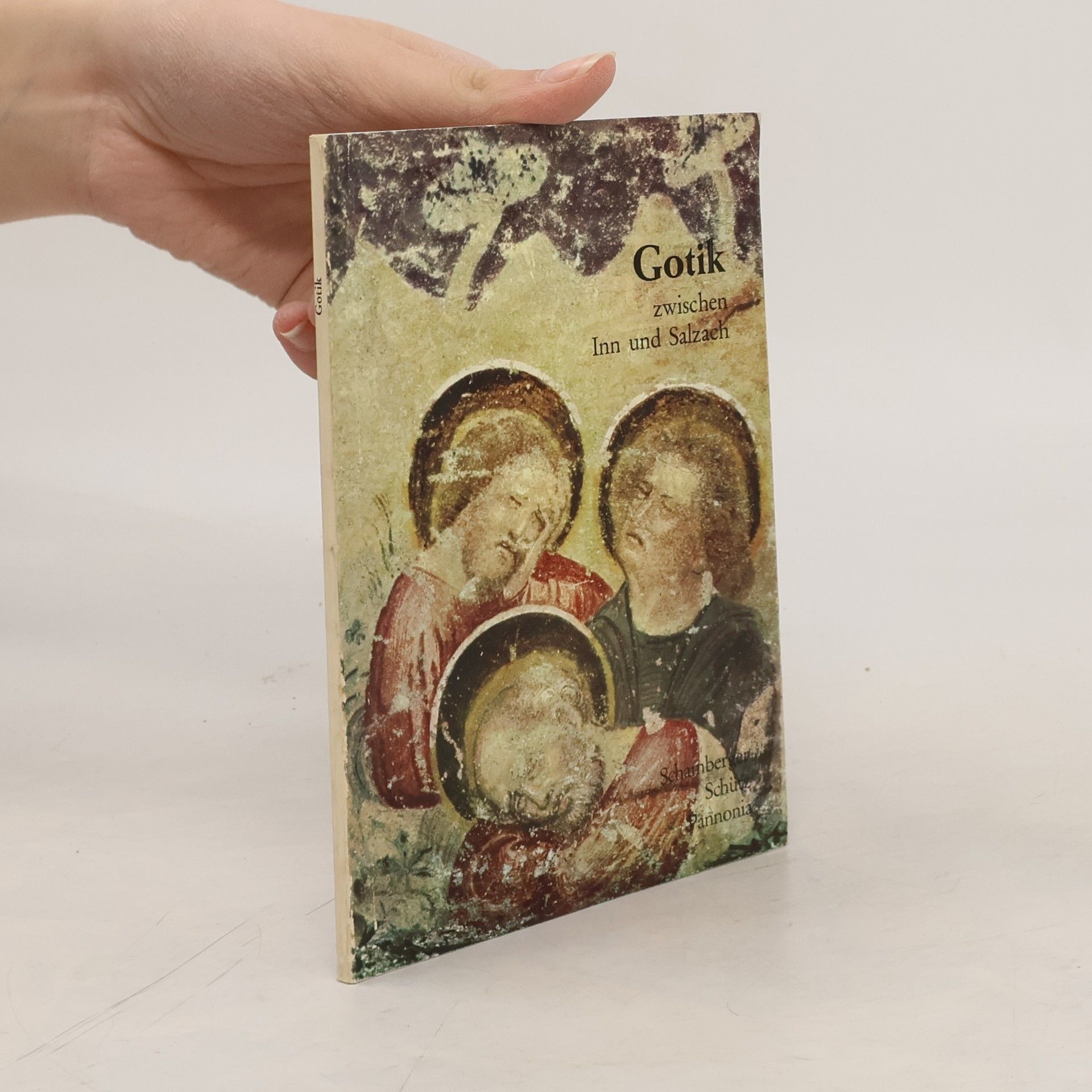 Siegfried Schamberger Gotik zwischen Inn und Salzach