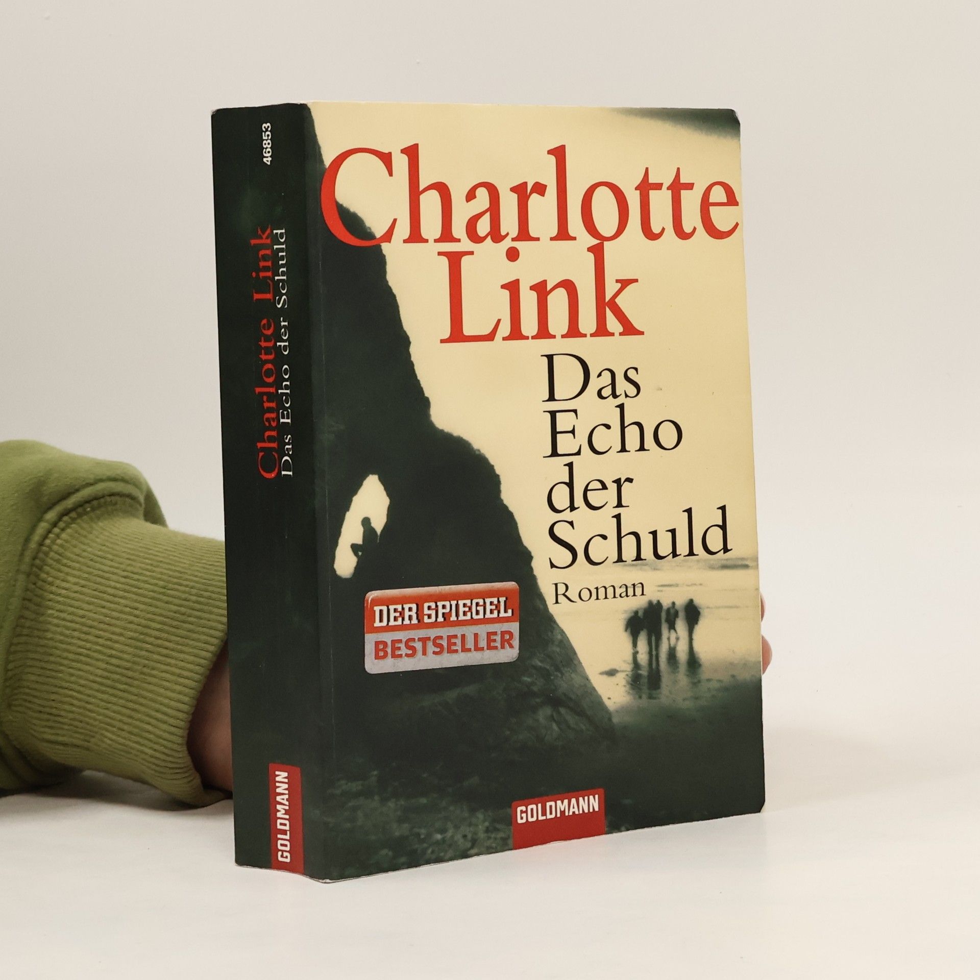 Charlotte Link Das Echo der Schuld