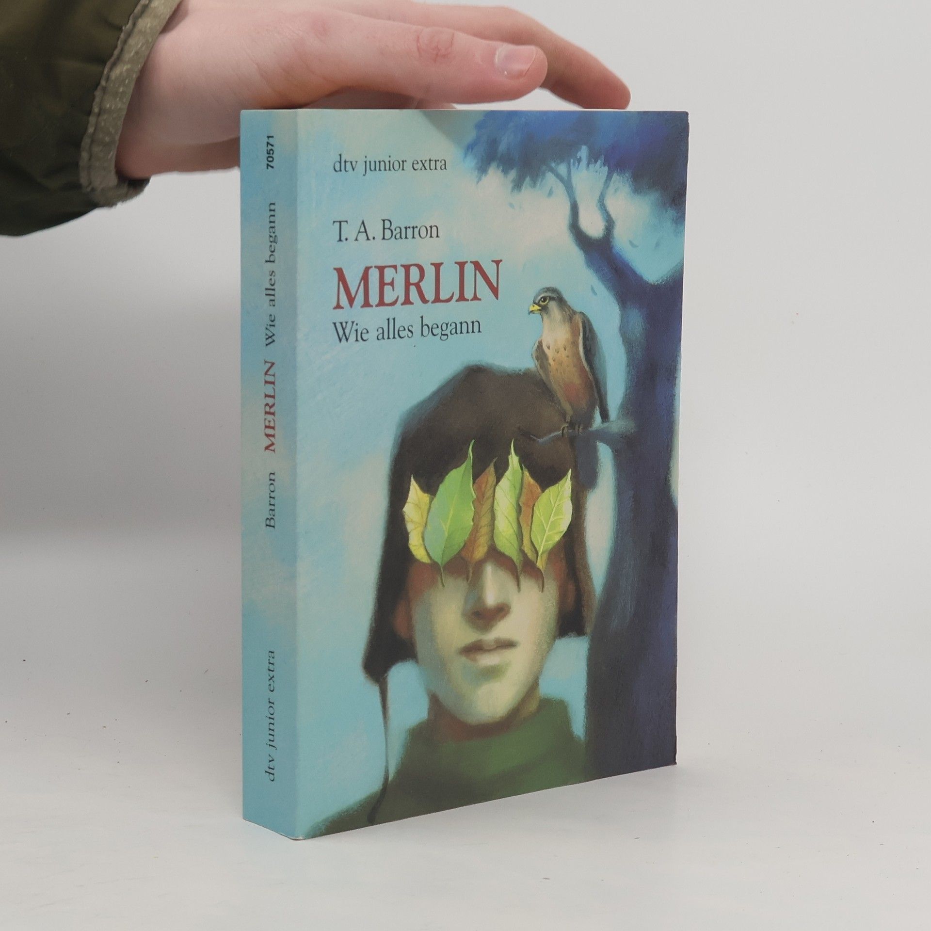 T. A. Barron Merlin. Wie alles begann