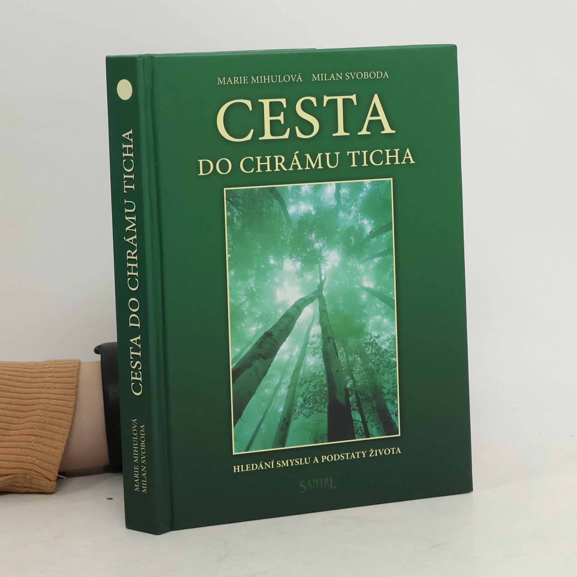 Marie Mihulová Cesta do chrámu ticha: Hledání smyslu a podstaty života