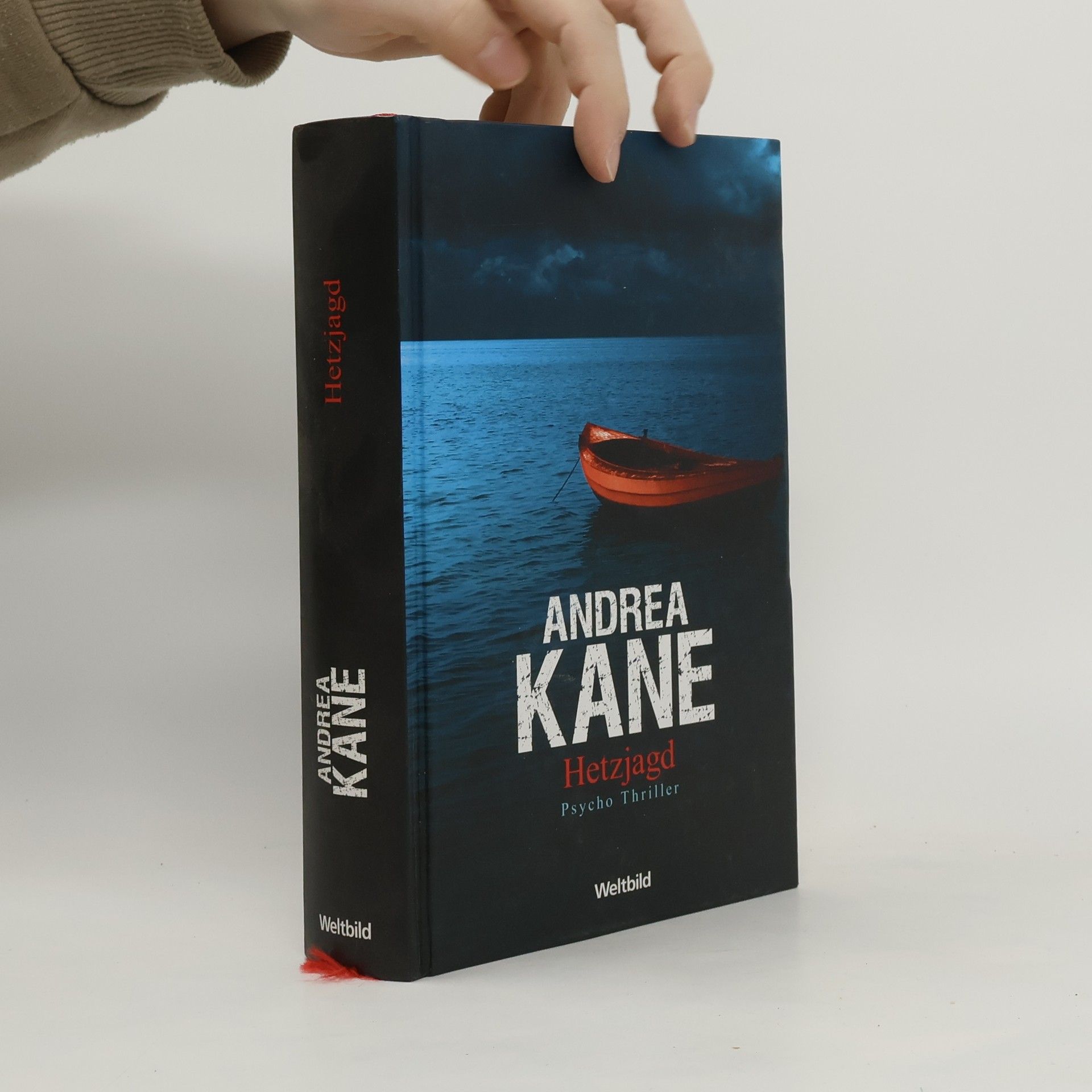 Andrea Kane Hetzjagd