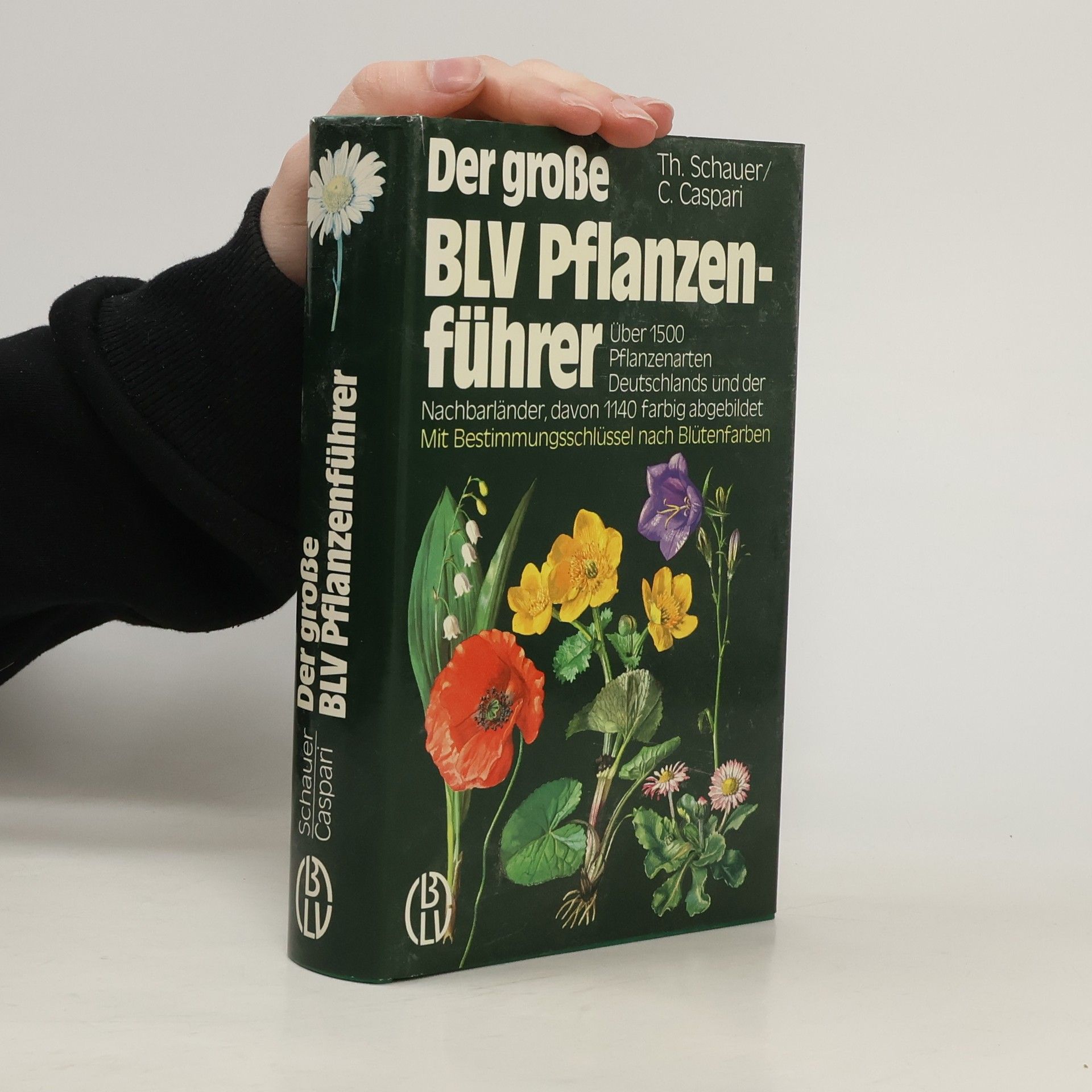 Thomas Schauer Der grosse BLV-Pflanzenführer