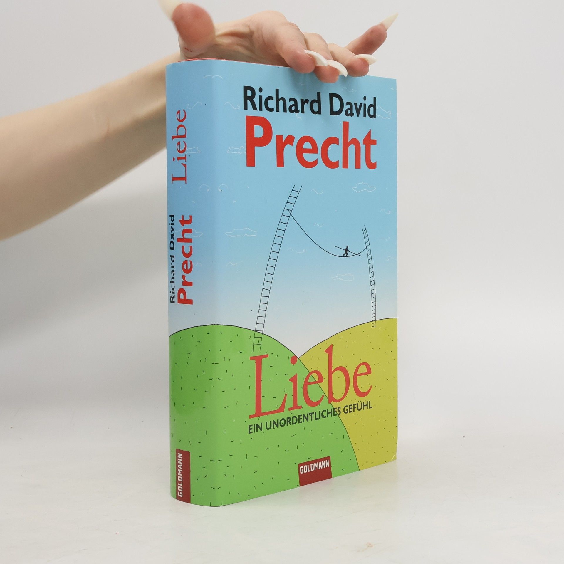 Richard David Precht Liebe ein Unordentliches Gefühl