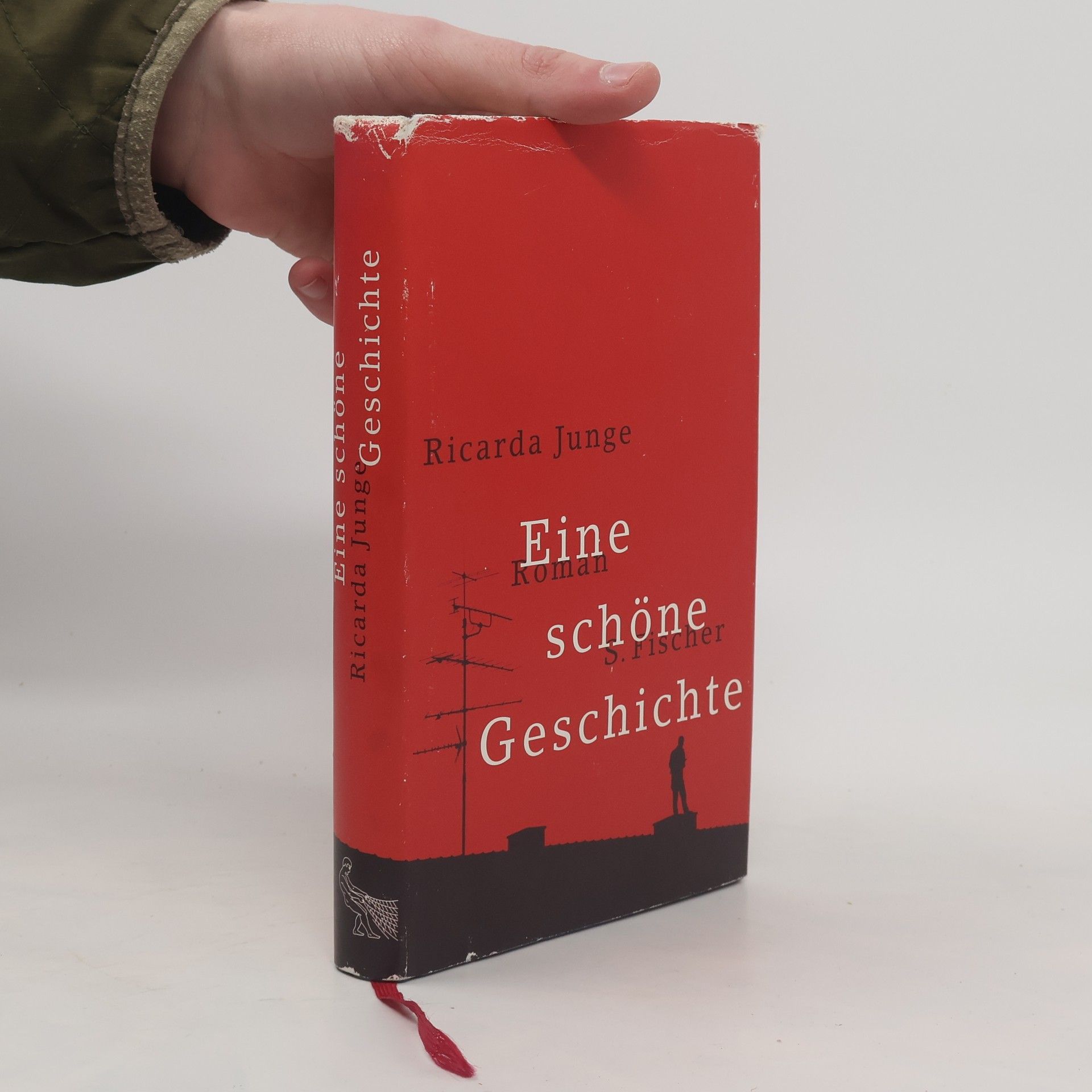 Ricarda Junge Eine schöne Geschichte