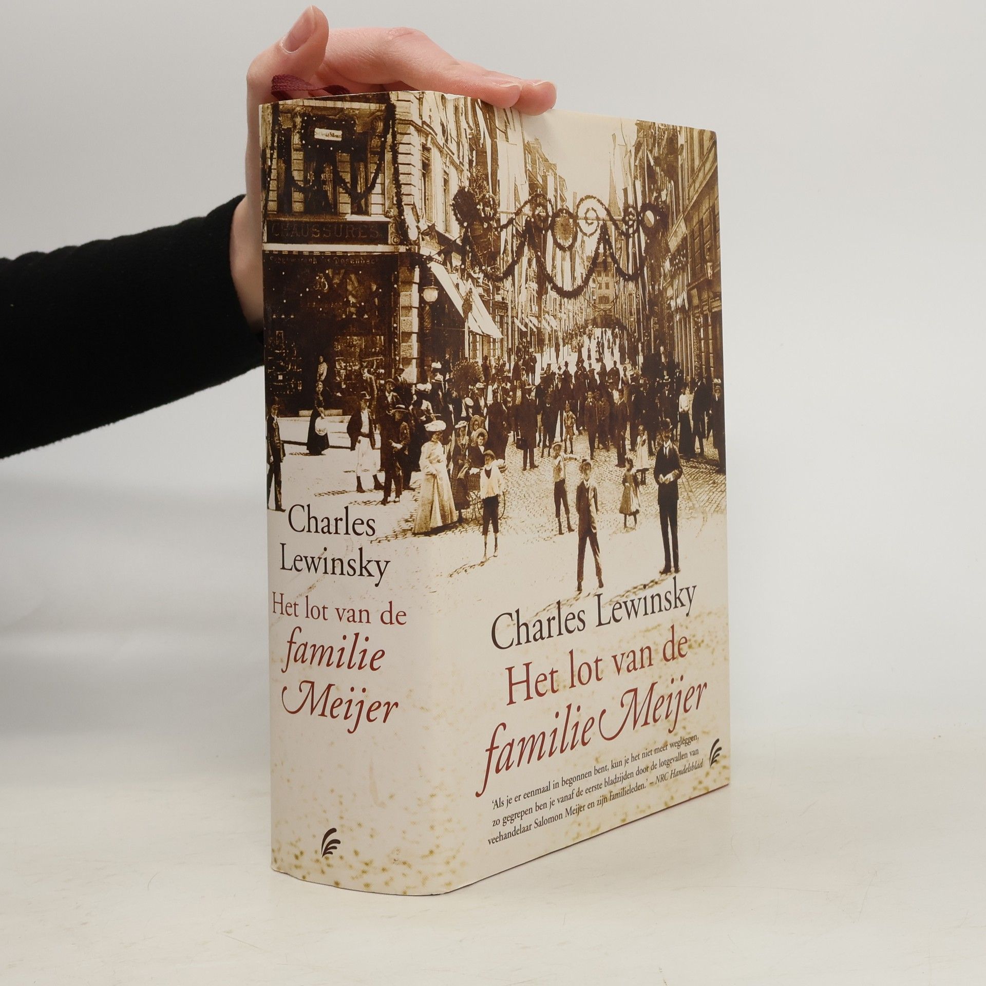 Elly Schippers Het lot van de familie Meijer