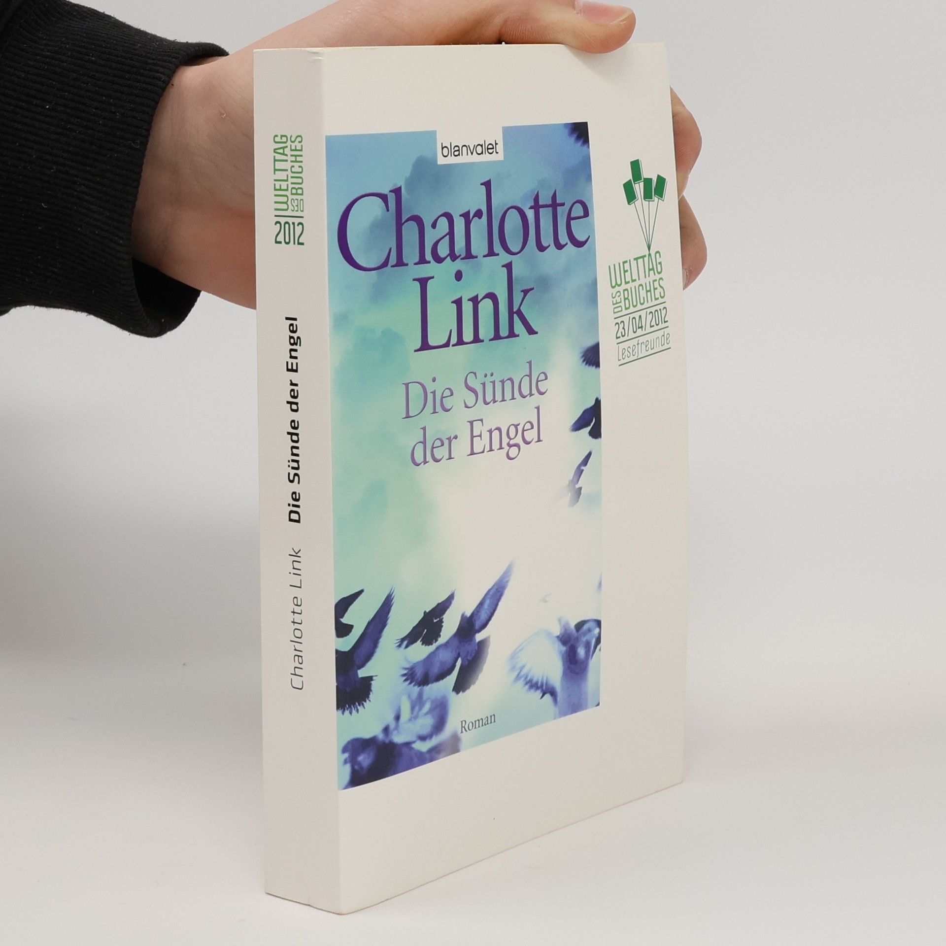Charlotte Link Die Sünde der Engel