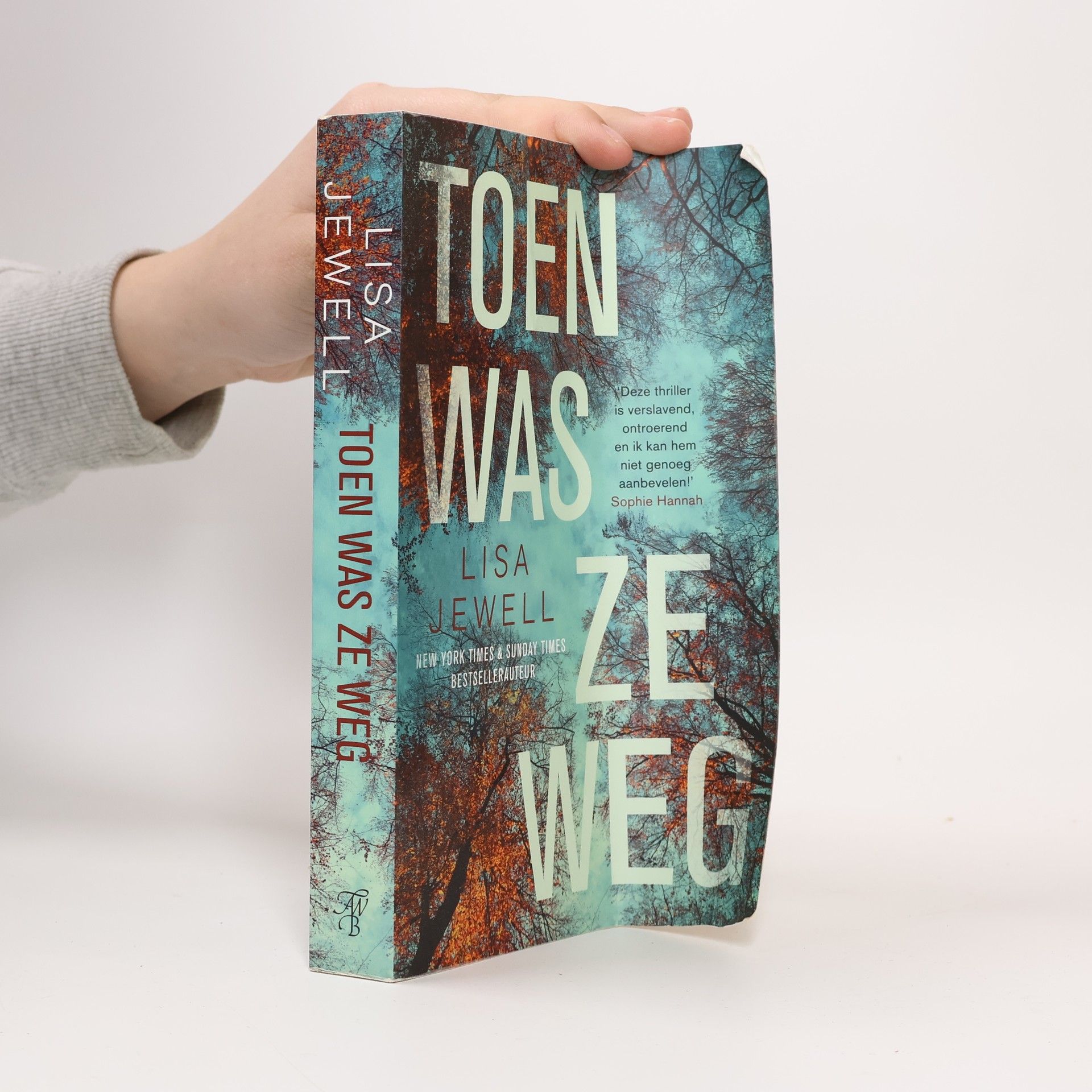 Lisa Jewell Toen was ze weg