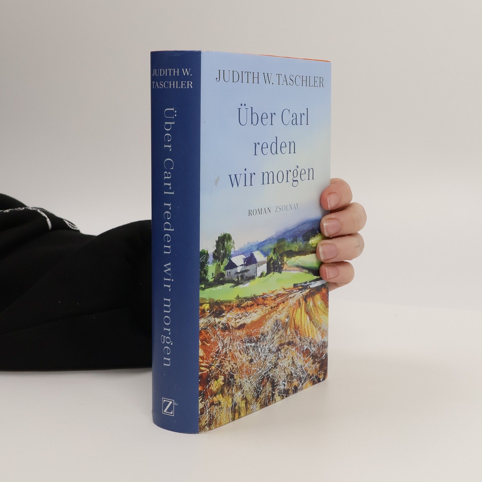 Judith Taschler Über Carl reden wir morgen