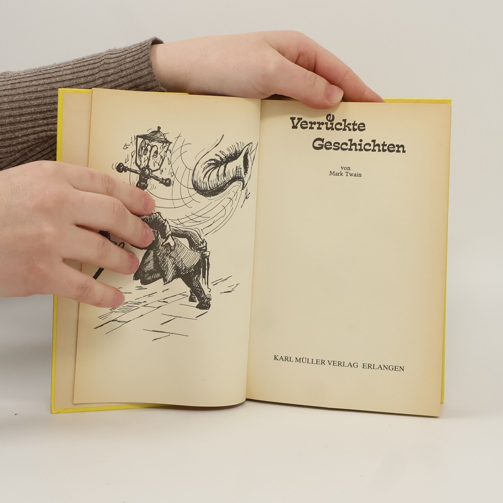 Mark Twain Verrückte Geschichten