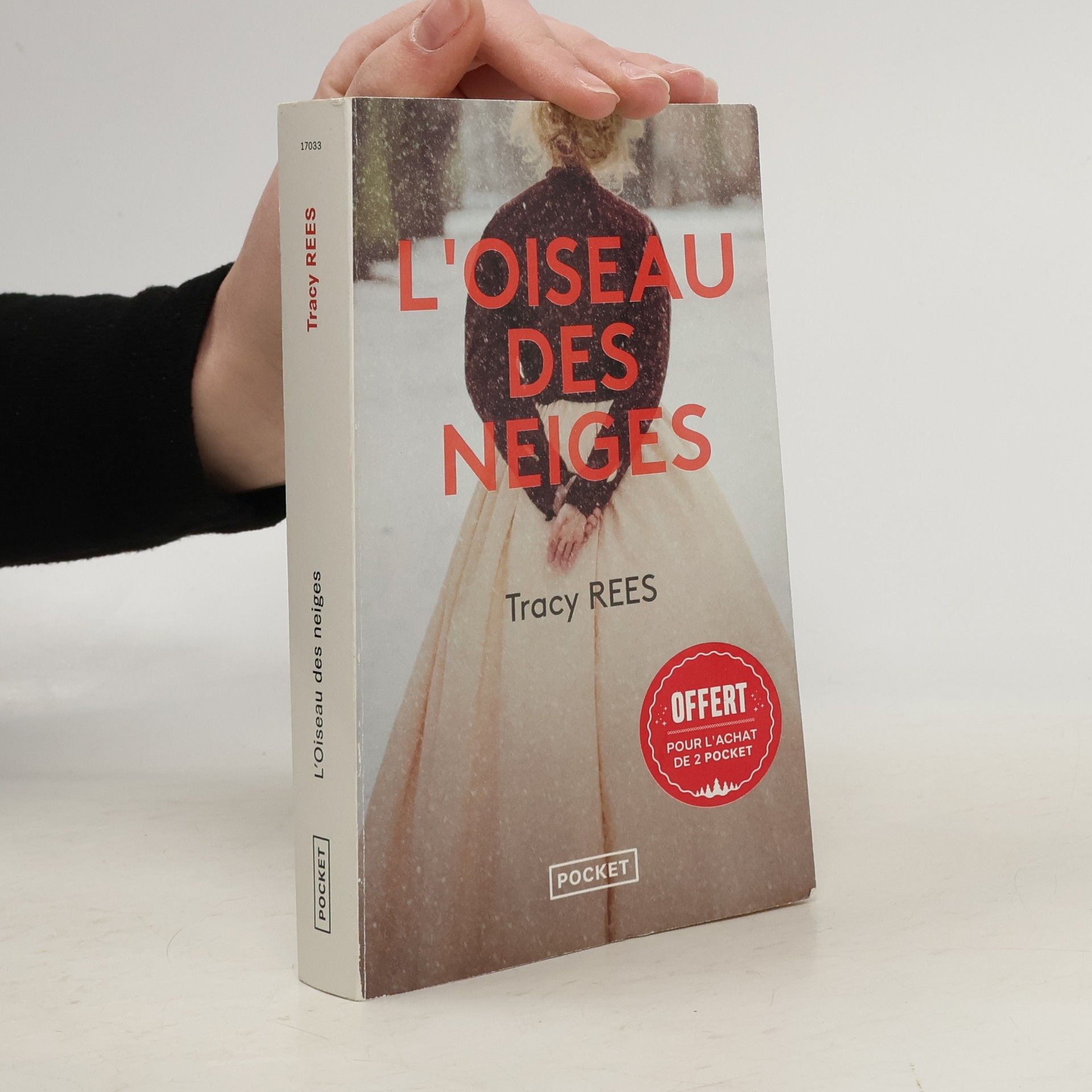 Tracy Rees L'oiseau des neiges