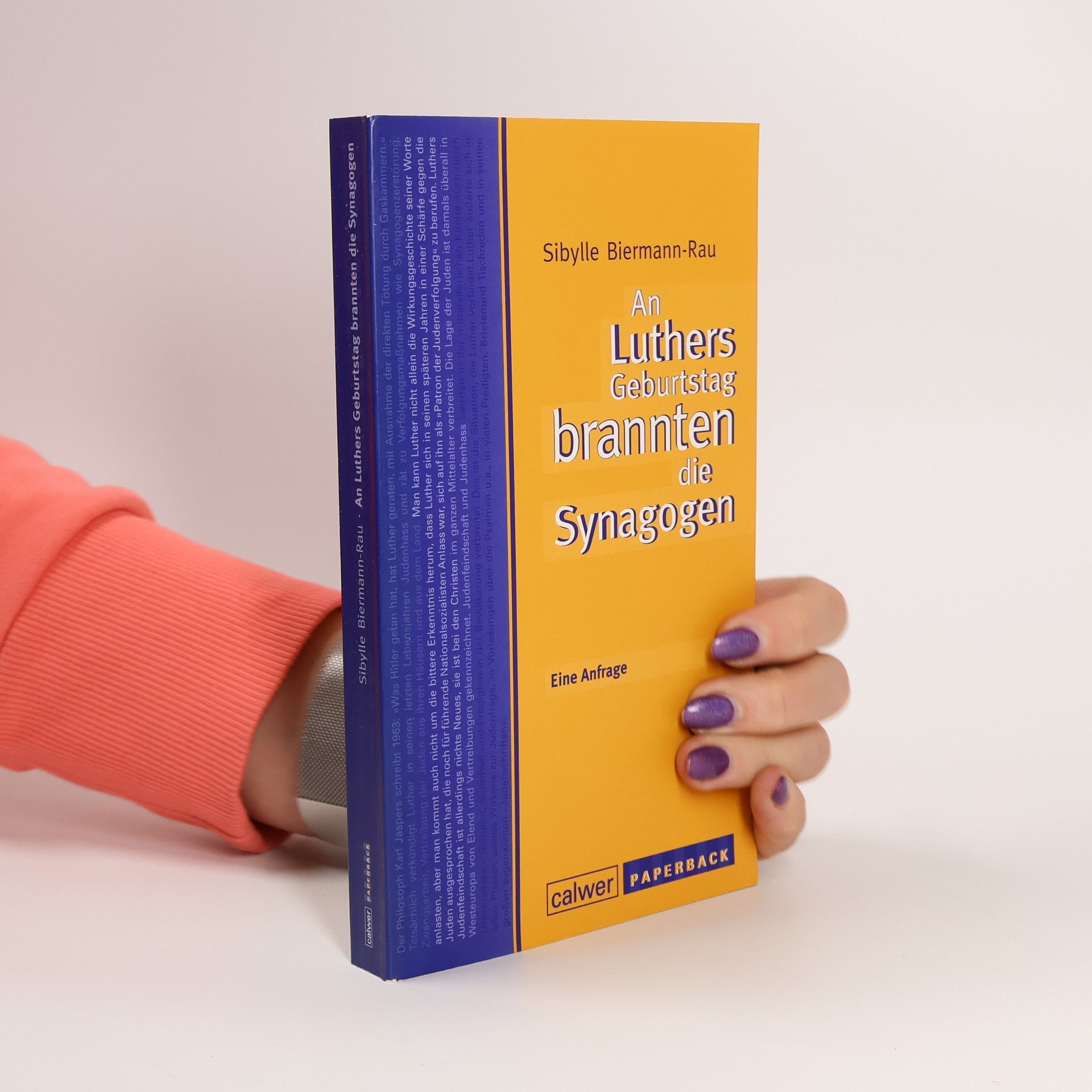 Sibylle Biermann-Rau An Luthers Geburtstag brannten die Synagogen