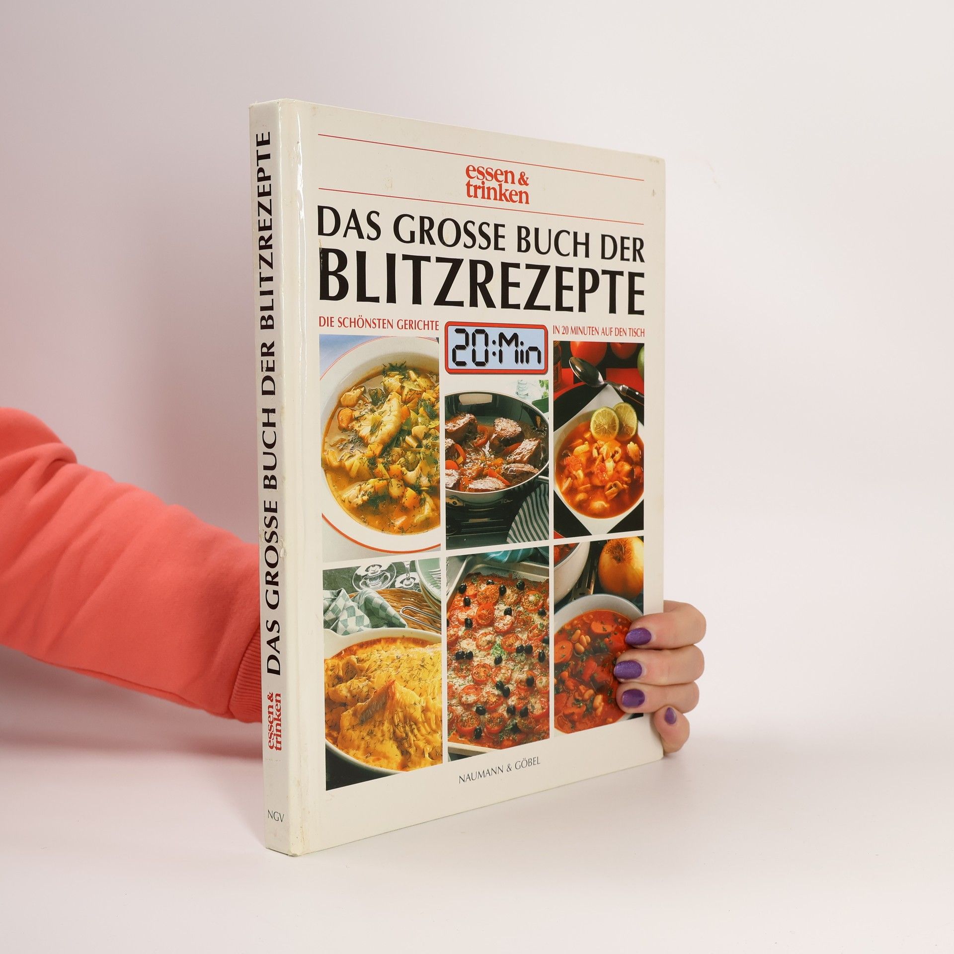 AA.VV. Das Grosse Buch Der Blitzrezepte