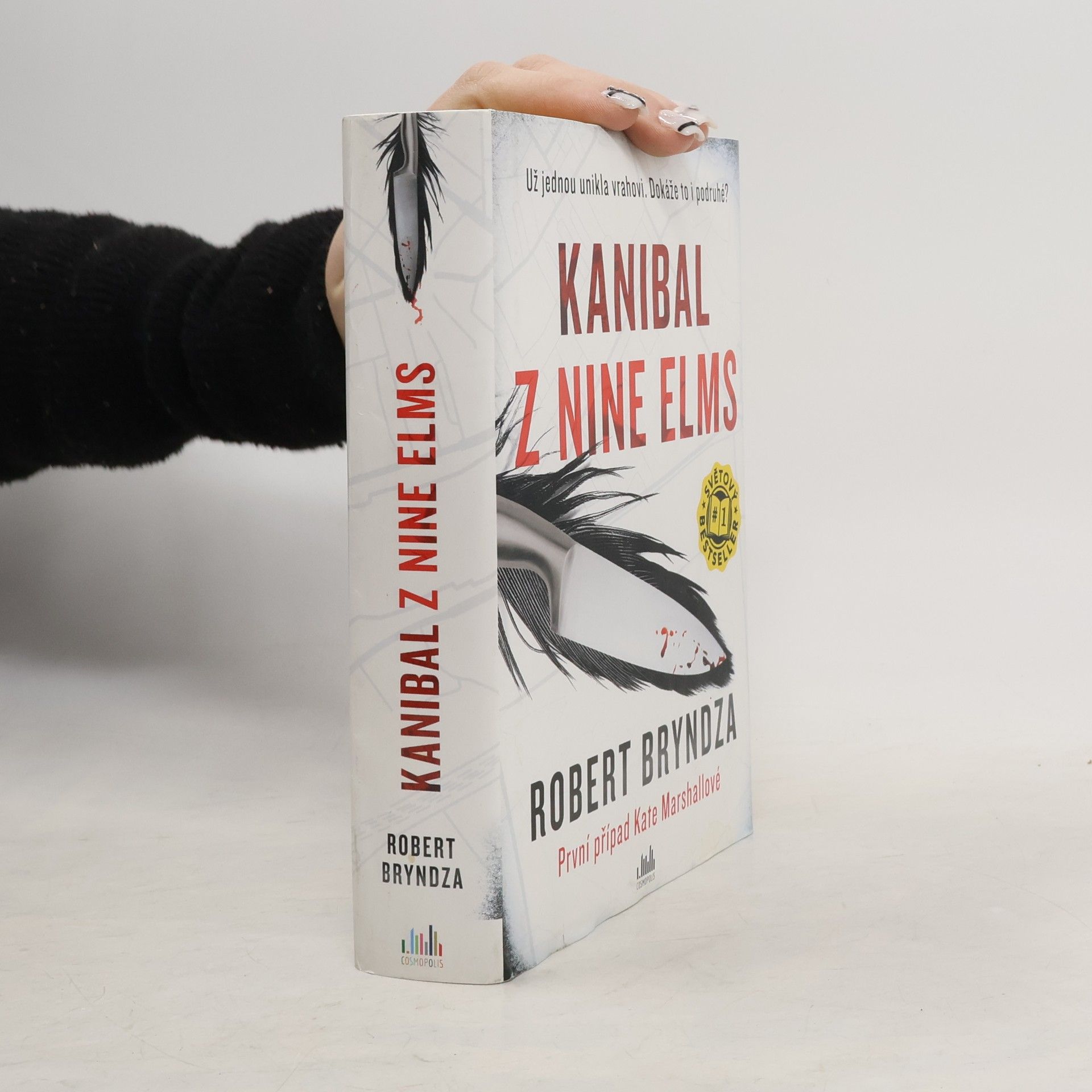 Robert Bryndza Kanibal z Nine Elms