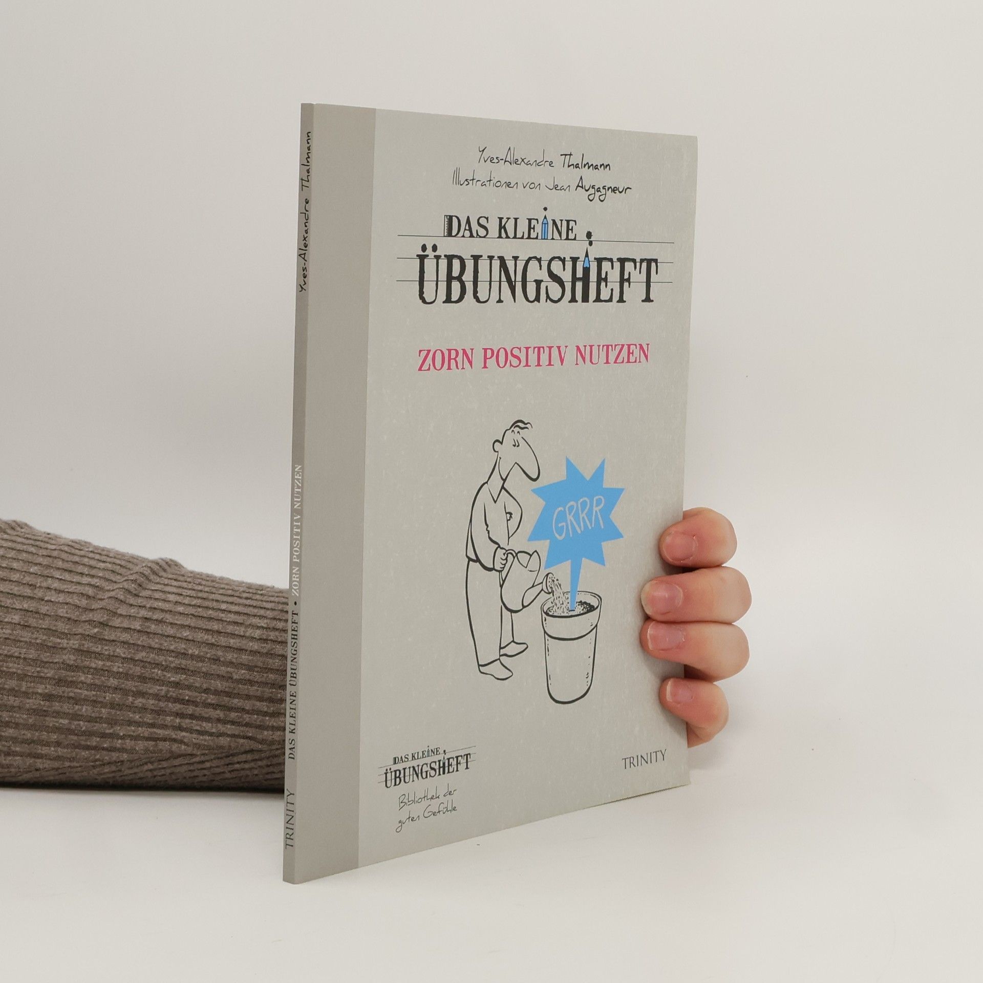 Yves Alexandre Thalmann Das kleine Übungsheft - Zorn positiv nutzen